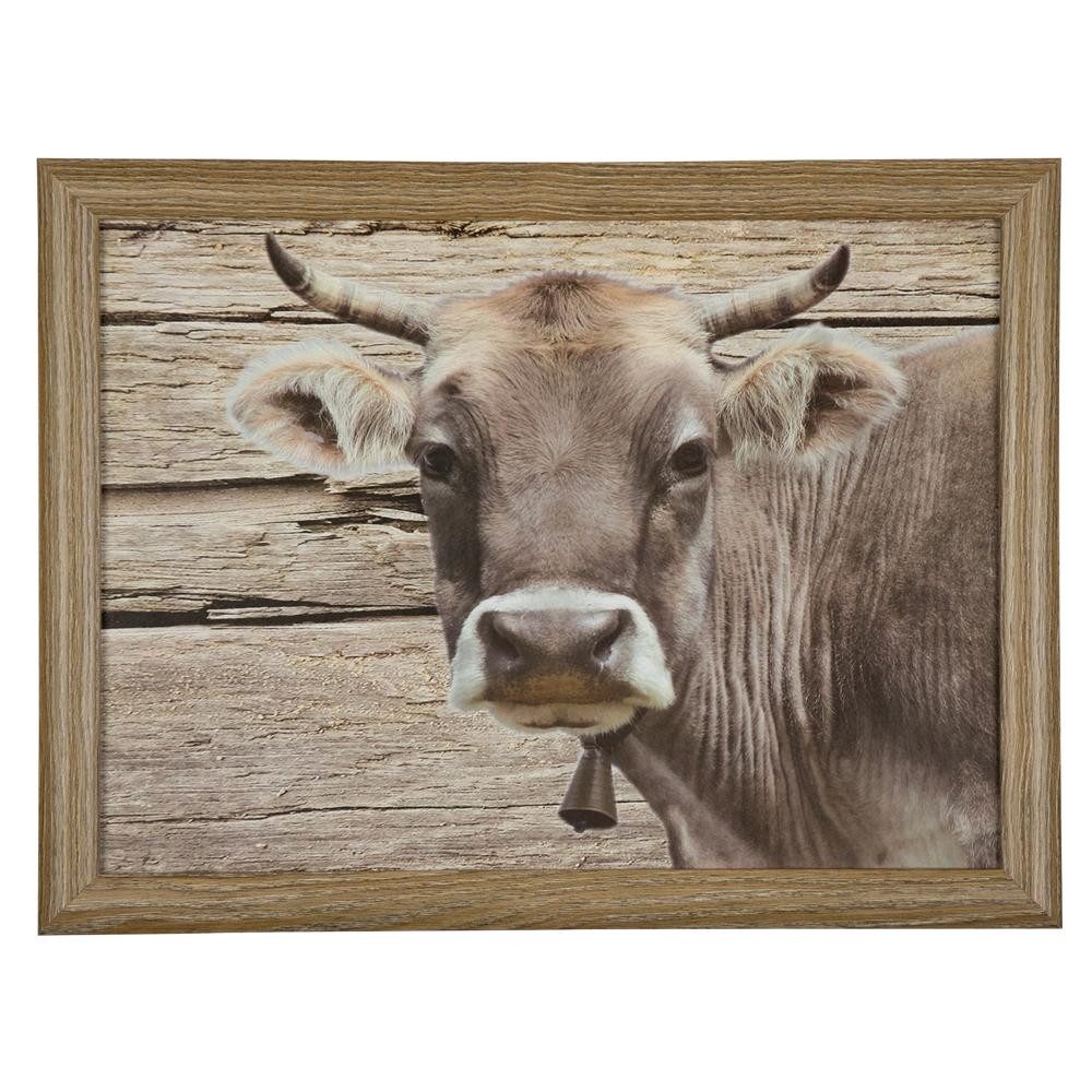 INNA-Glas Dekokissen Deko Kissen BJARKA, Kuh Motiv, braun, 43x33x7cm
