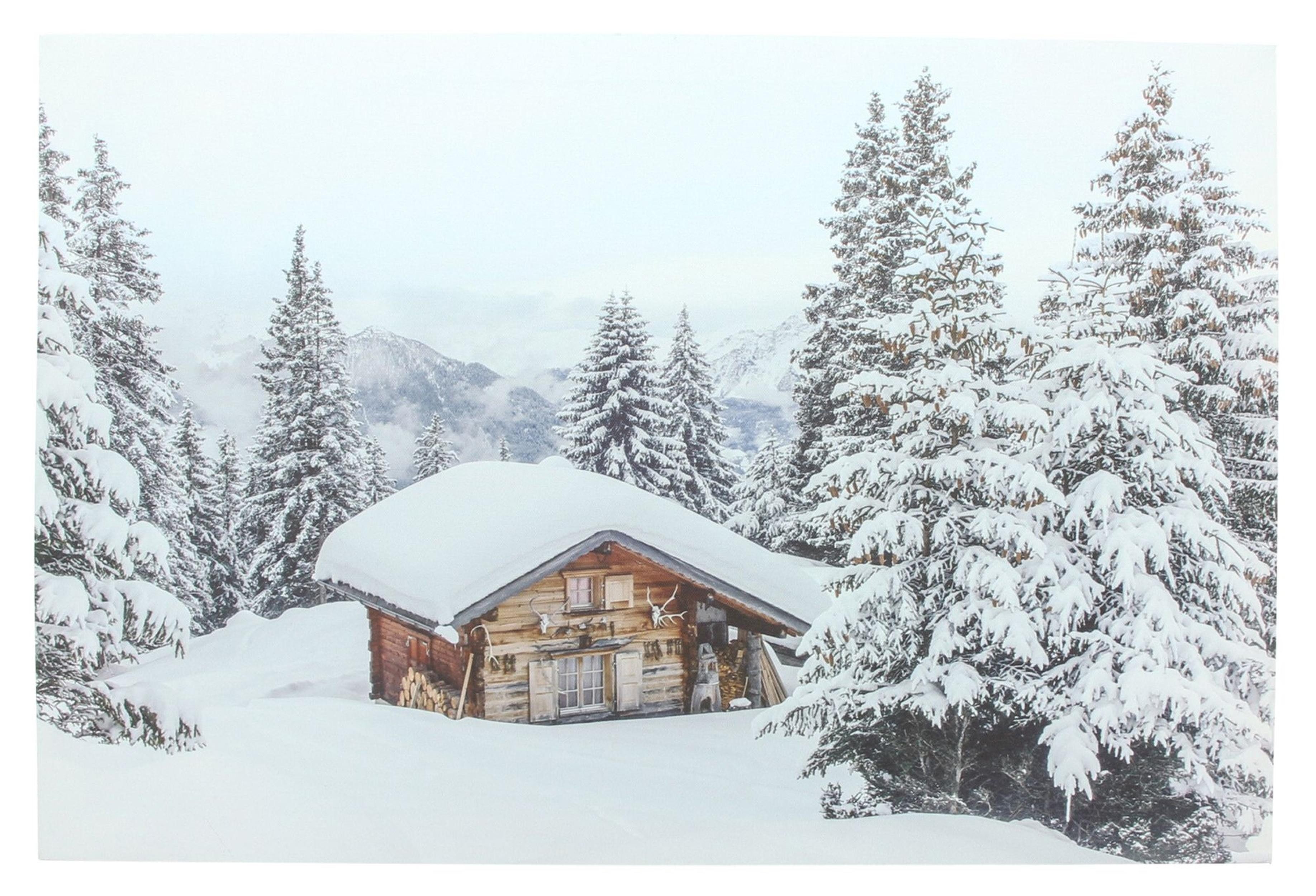 Frank Flechtwaren LED Dekoobjekt LED-Bild "Winter"