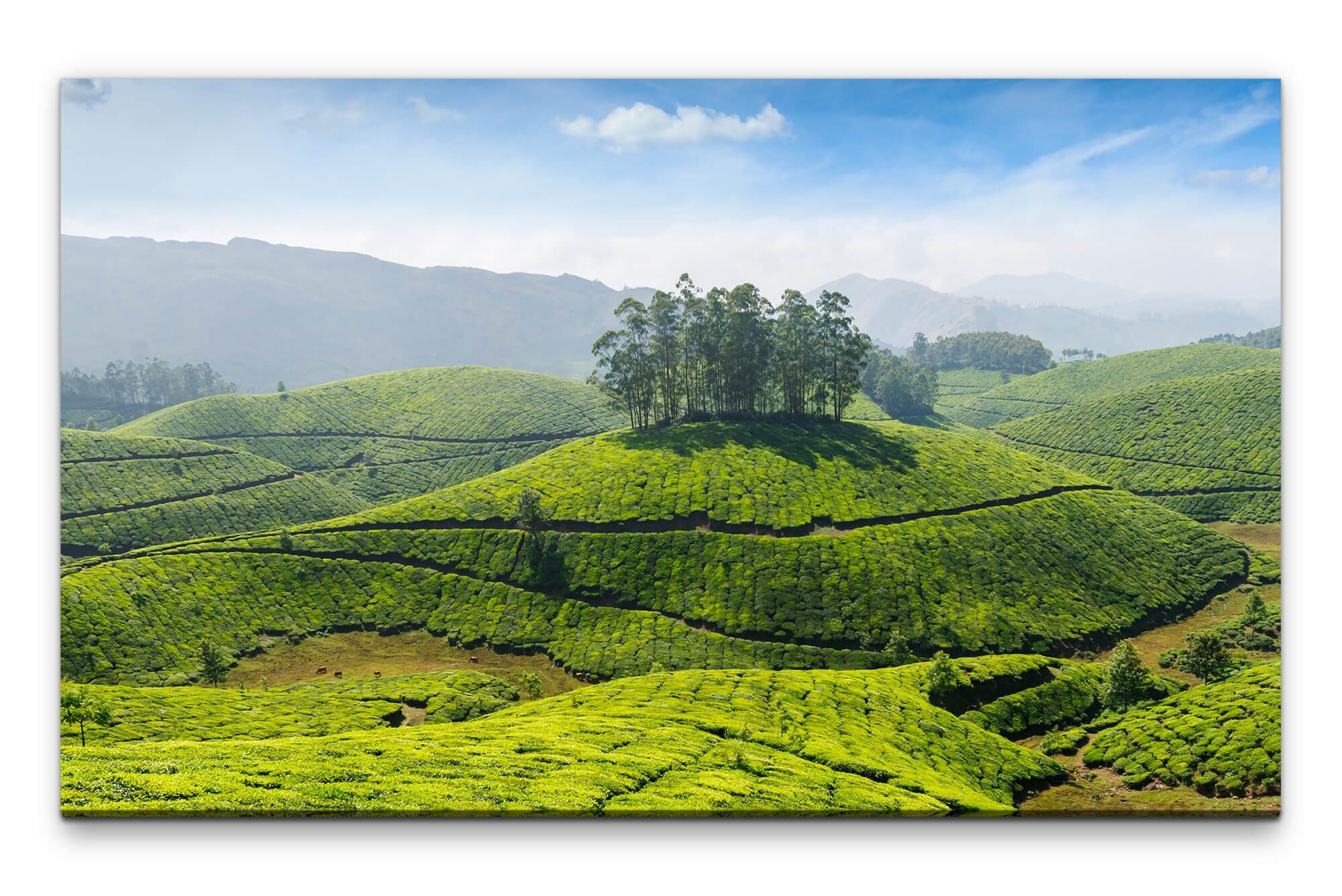 Leinwandbild Bilder XXL Indien Wandbild auf Leinwand