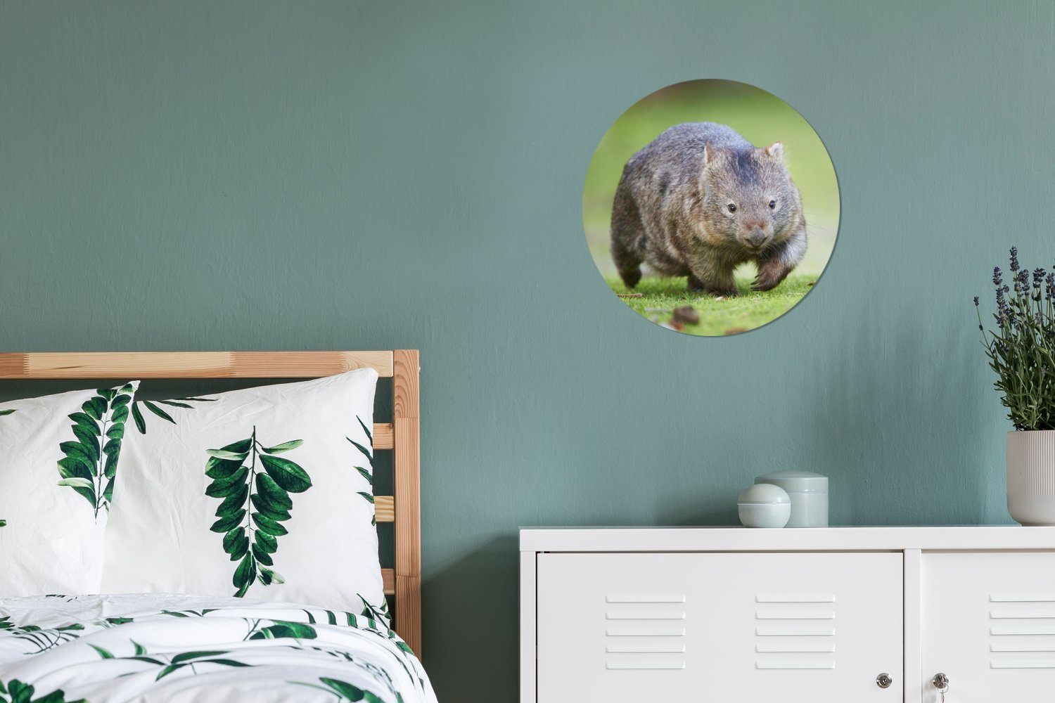 Wiese, St), cm Forex, einer Wombat 30x30 Kreis auf spielt Ein Wandbild, Gemälde Wohnzimmer, Wanddekoration (1 MuchoWow Rundes