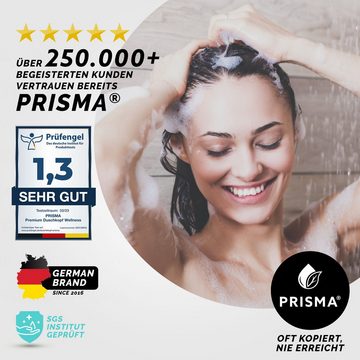 Handbrause Prisma Premium Duschkopf