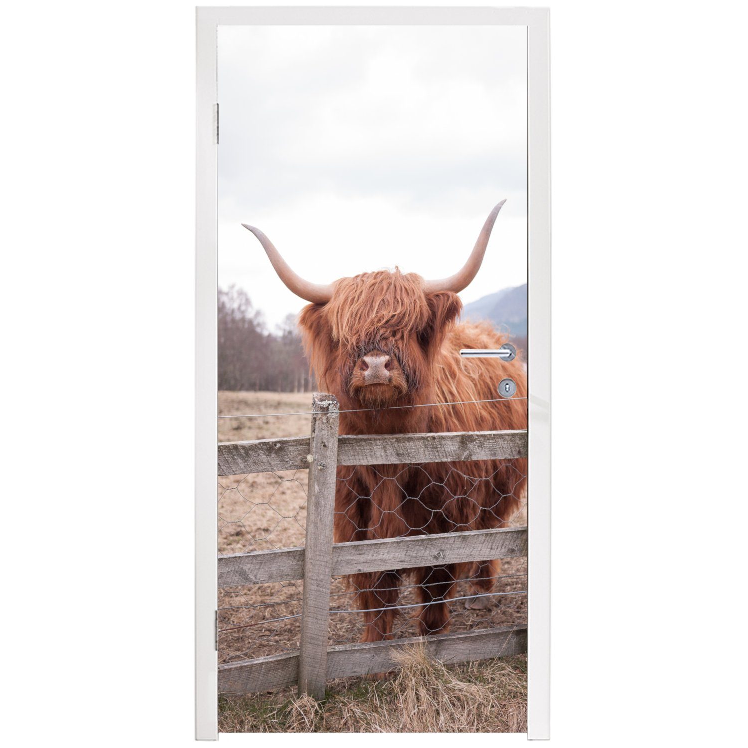 75x205 bedruckt, Türtapete MuchoWow - Türaufkleber, für St), Gras Scottish (1 Matt, Zaun, Highlander - Tür, cm Fototapete