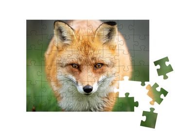 puzzleYOU Puzzle Rotfuchs auf der Jagd, 48 Puzzleteile, puzzleYOU-Kollektionen Füchse, Tiere in Wald & Gebirge