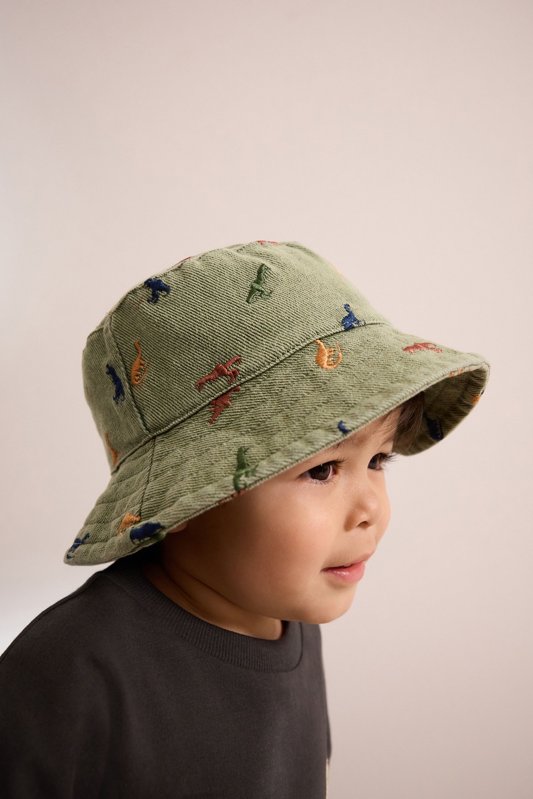 Next Fischerhut Fischerhut mit Stickerei, Dinosaurier (1-St)