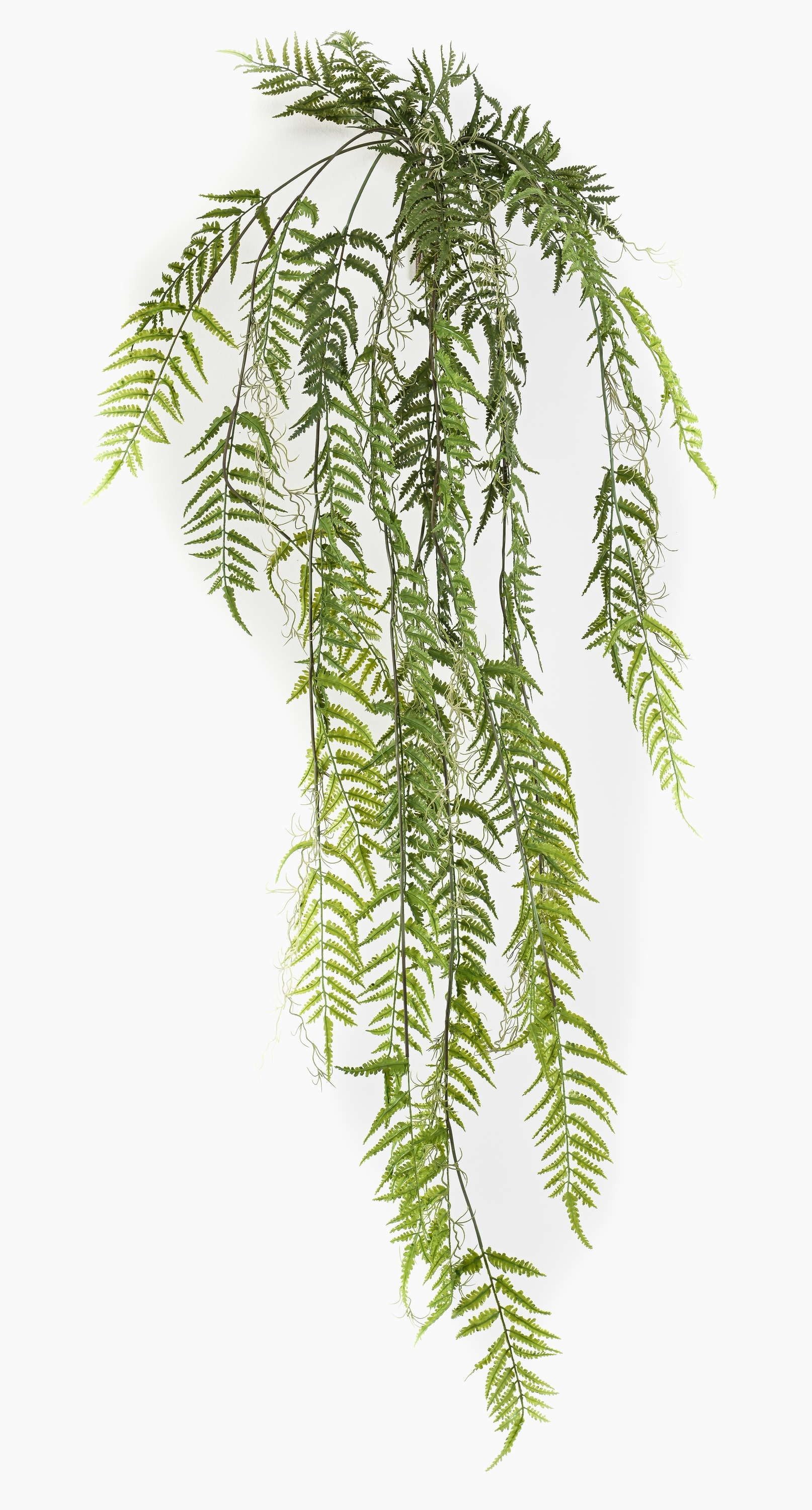 Künstliche Zimmerpflanze Schildfarn ZALGEN auf Steckstab, Wurzeln, hängend, grün, 150cm Farn (Schildfarn), artplants, Höhe 150.0 cm