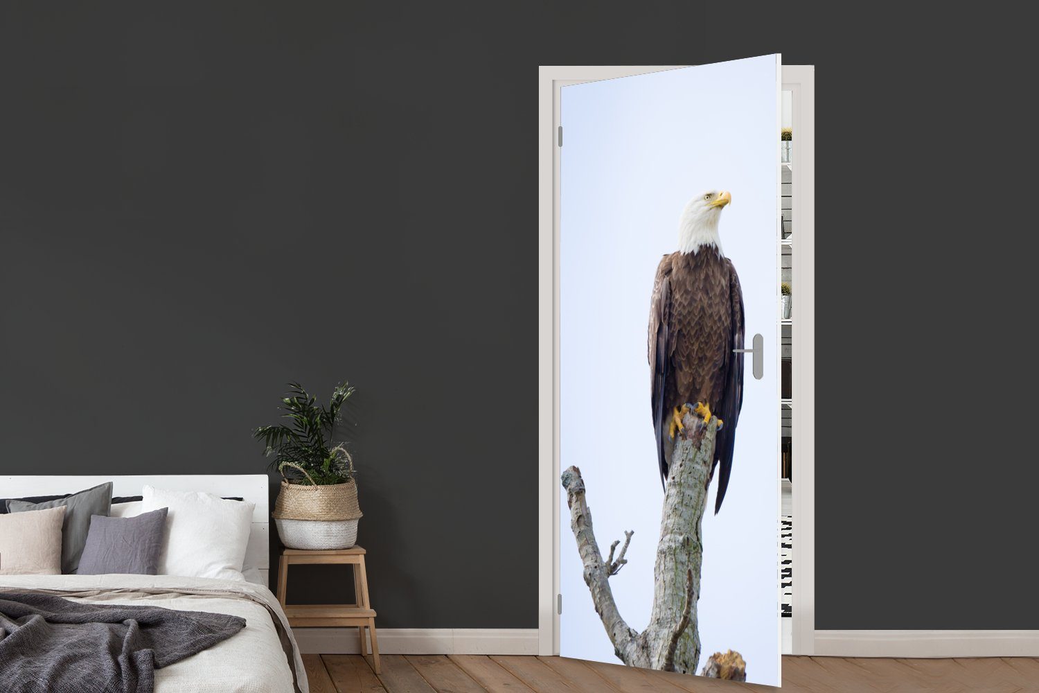 75x205 bedruckt, St), cm Sitzen, Tür, Türtapete (1 Fototapete Adler Matt, Weißkopfseeadler - - für MuchoWow Raubvögel Türaufkleber, Amerikanischer -