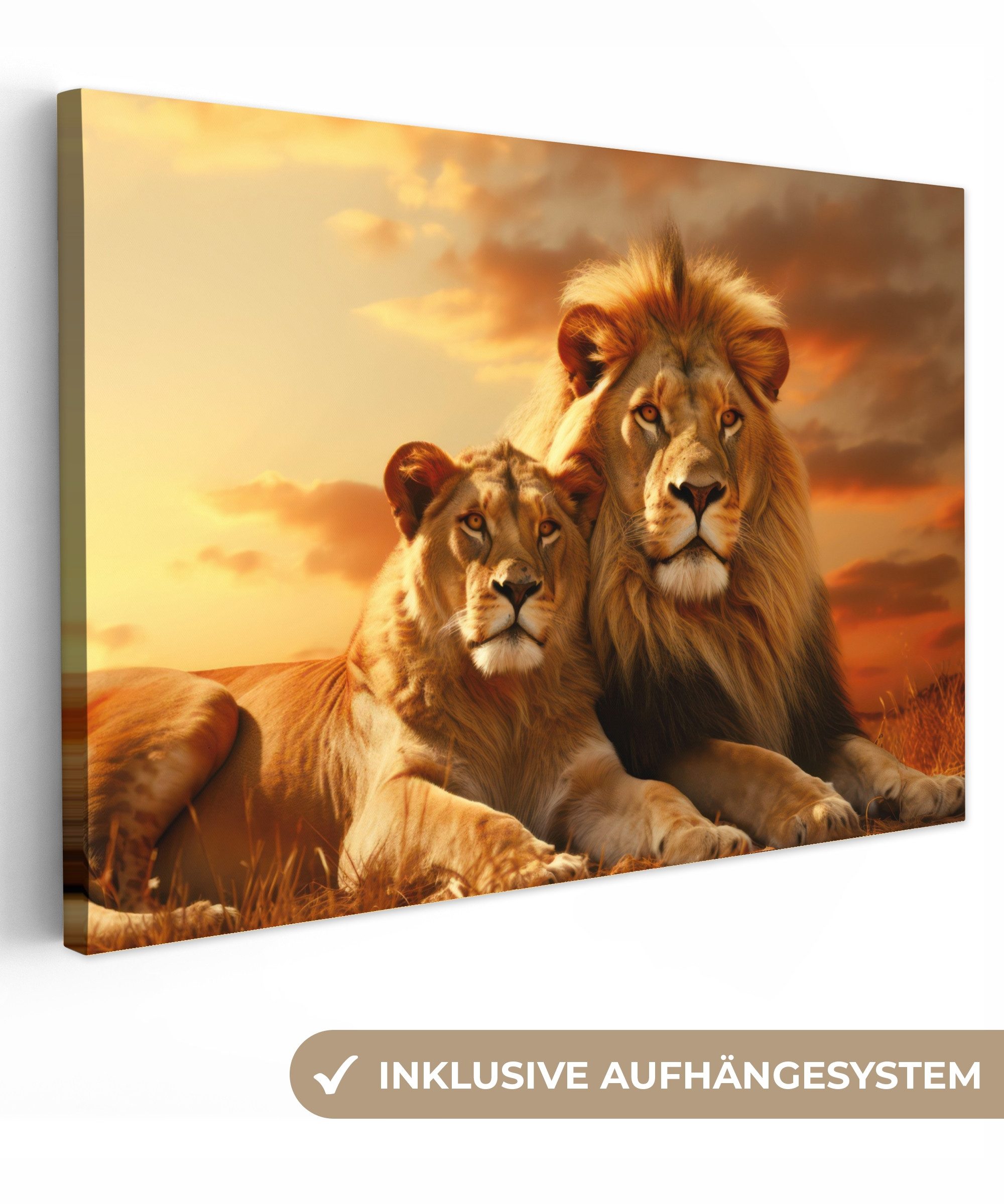 OneMillionCanvasses® Leinwandbild Löwen - Sonnenuntergang - Afrika - Savann günstig online kaufen