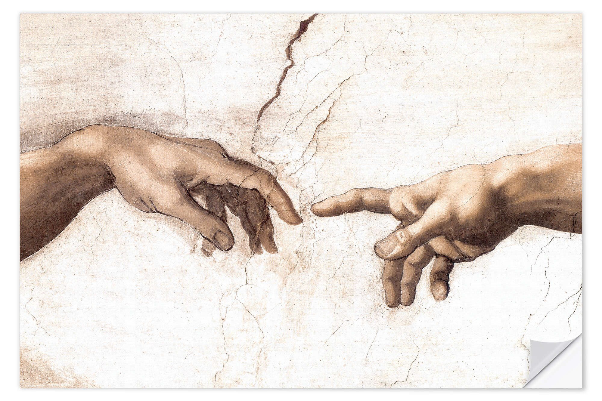 Posterlounge Wandbild Die Erschaffung Adams (Detail), günstig online kaufen