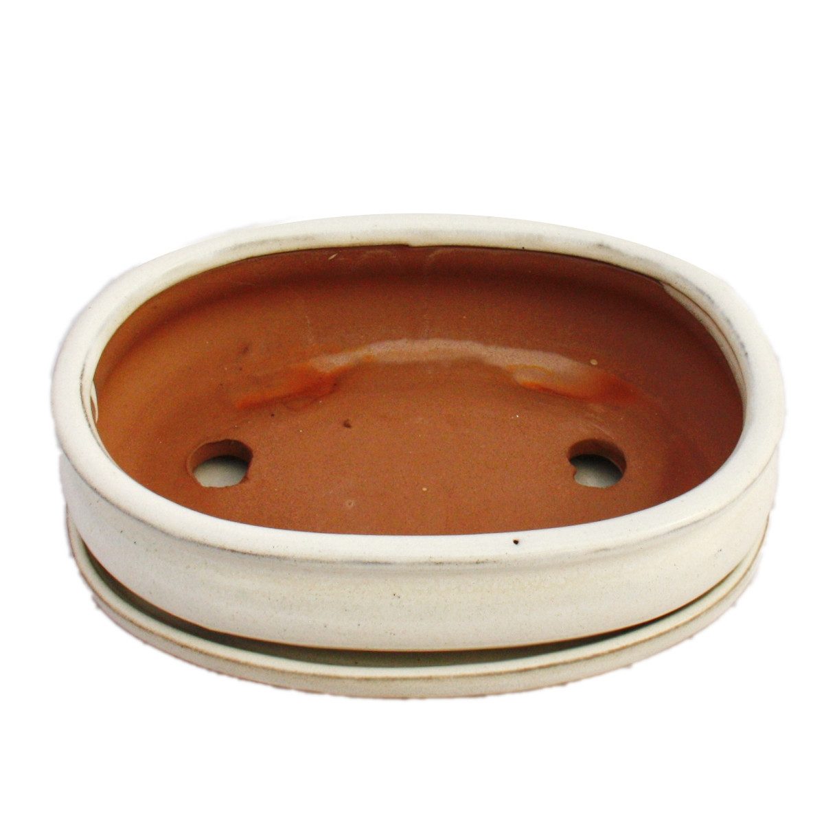 Exotenherz Pflanzschale Bonsai-Schale mit Unterteller Gr. 3 hellbeige oval günstig online kaufen