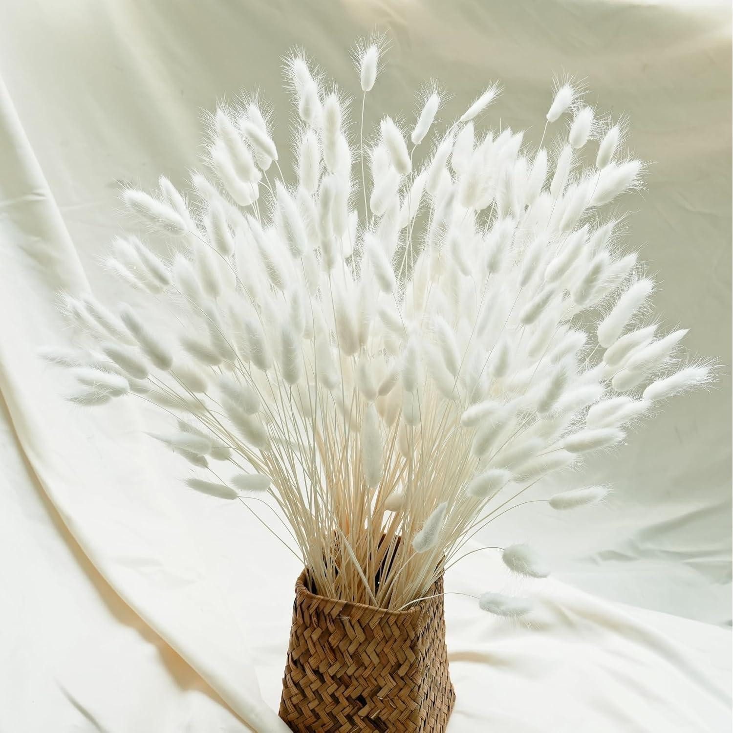 Trockenblume 120 PCS Trockenblumen Pampasgras Strohblumen in Weiß Beige Herbst, LuxusKollektion