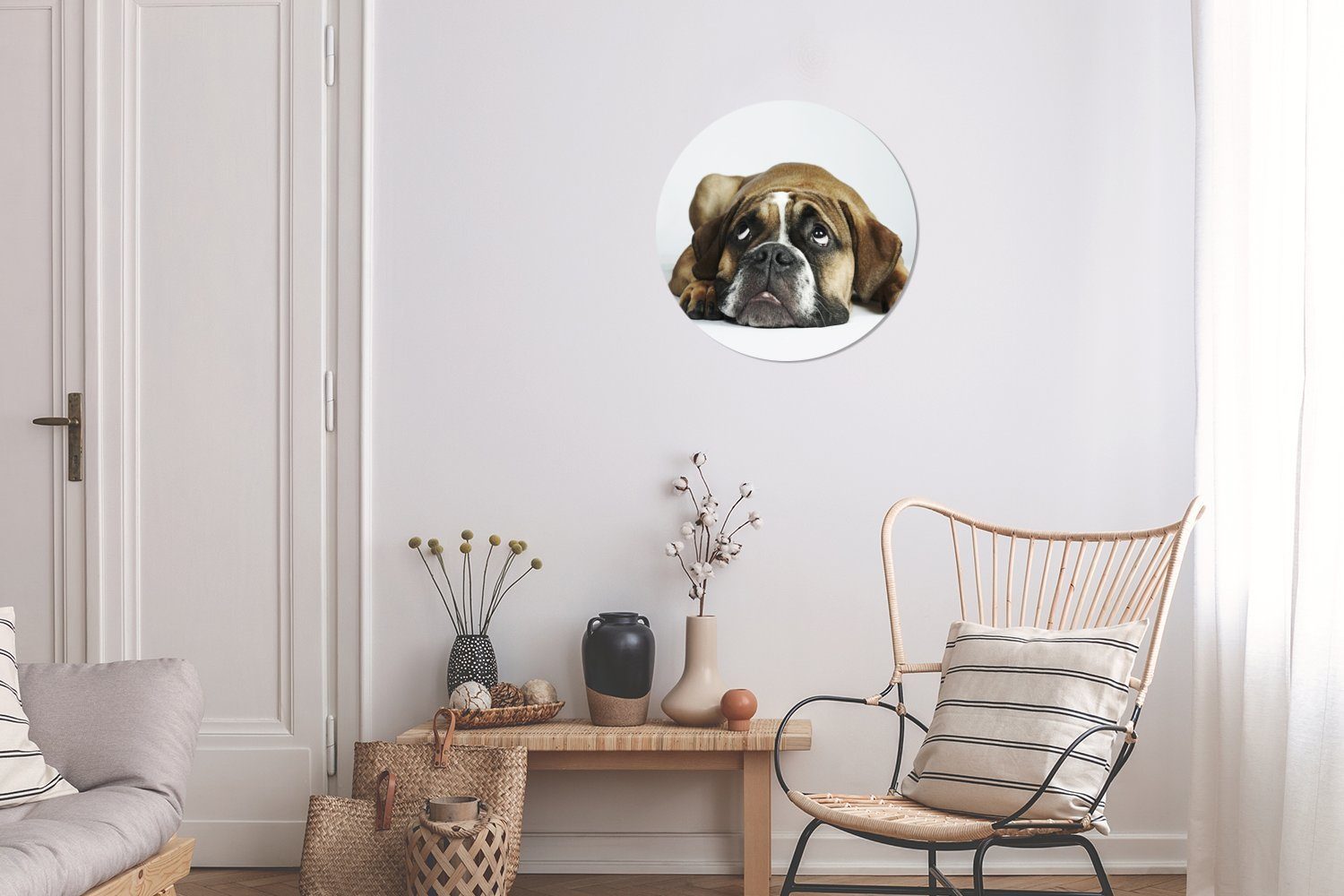 St), Kreis Weiß, 30x30 Forex, Rundes - MuchoWow Hund Wandbild, - Gemälde Wohnzimmer, Haustiere Wanddekoration cm (1