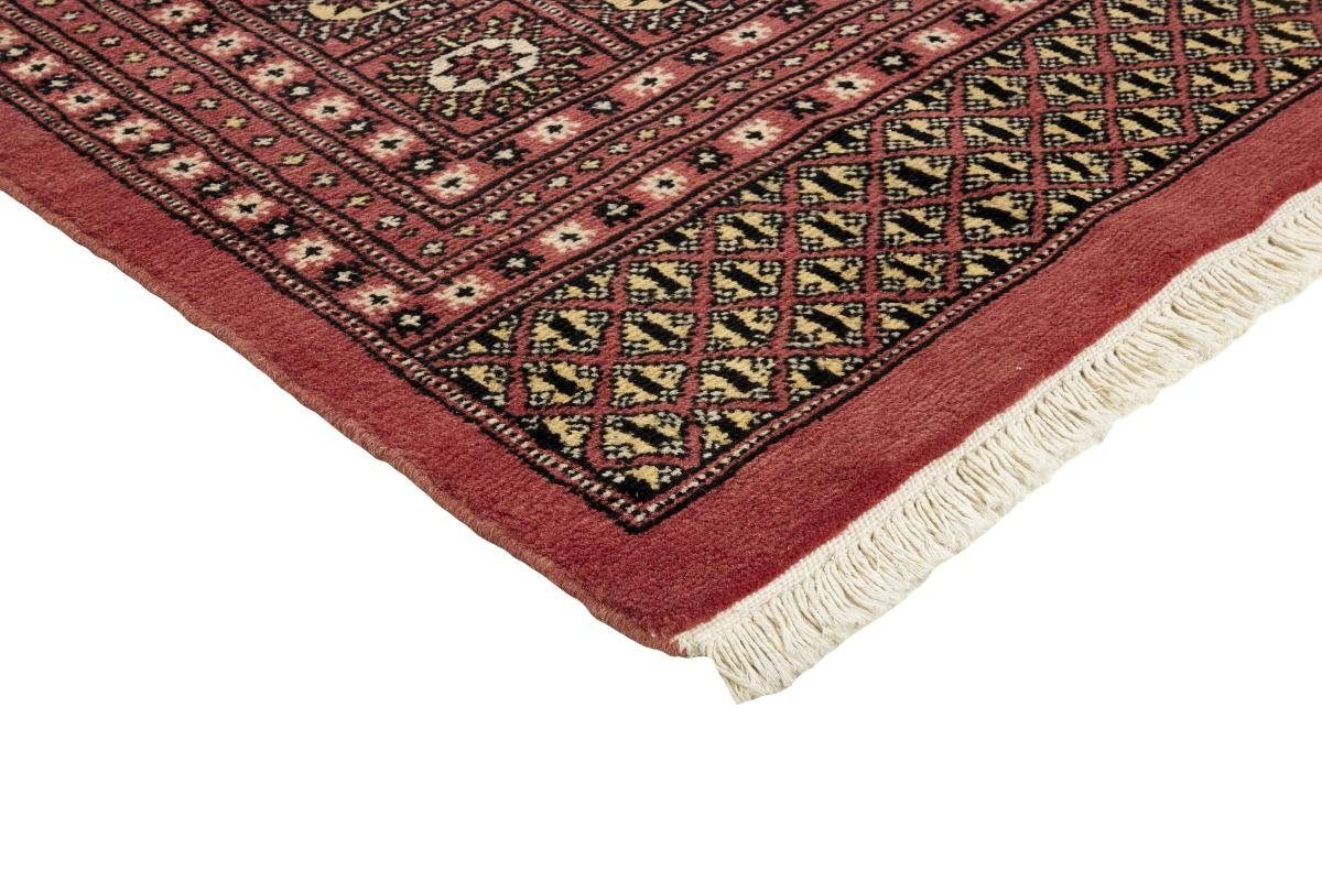 Orientteppich Pakistan Buchara 2ply 245x306 Orientteppich, Nain mm Handgeknüpfter Höhe: rechteckig, Trading, 8