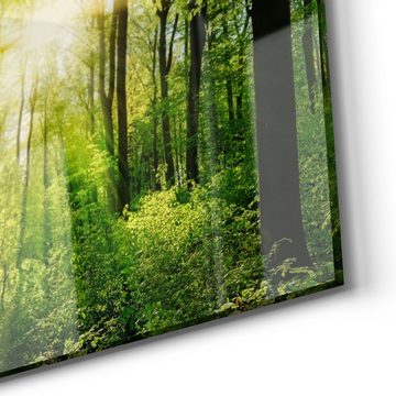 DEQORI Glasbild 'Sonne durchbricht Wald', 'Sonne durchbricht Wald', Glas Wandbild Bild schwebend modern