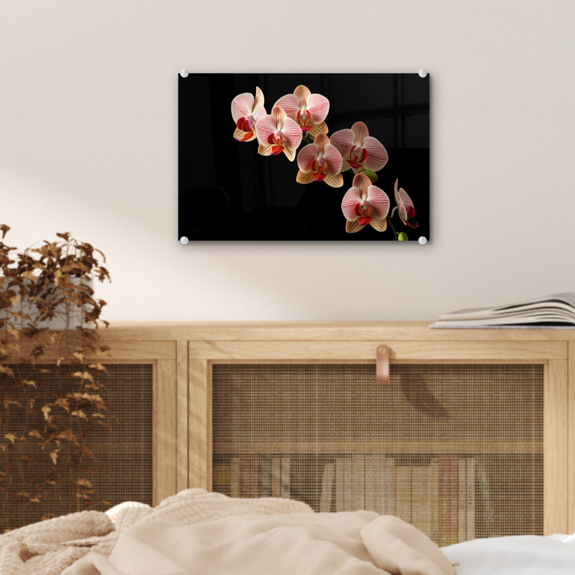 - Glas Wanddekoration Acrylglasbild Rosa auf Botanisch Foto Glasbilder (1 - Natur, - Blumen - - St), - MuchoWow Glas - Wandbild Bilder Orchidee auf