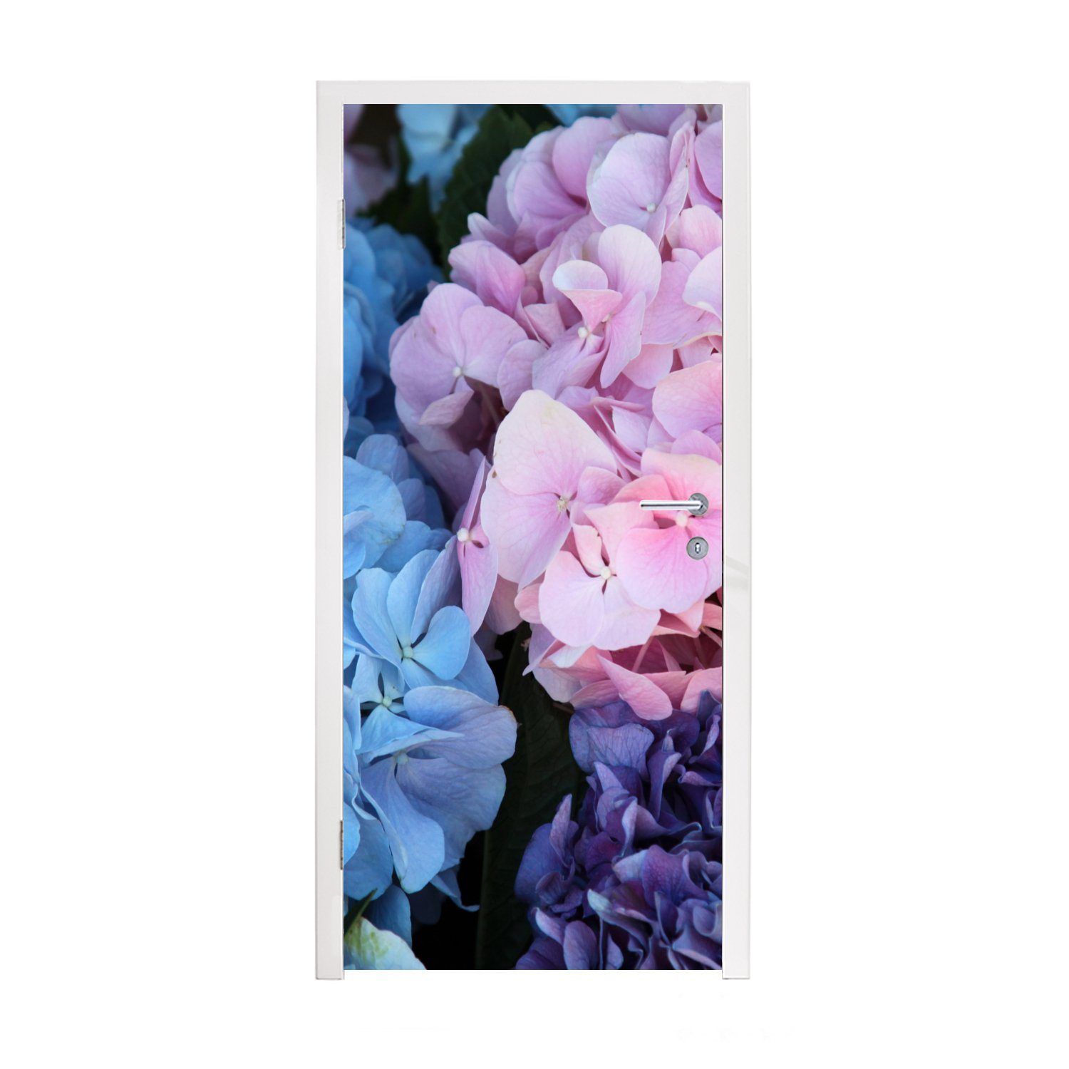 cm Hortensie Botanisch, - 75x205 MuchoWow Blumen - - Fototapete Matt, für Türaufkleber, bedruckt, St), Türtapete Strauch Tür, (1