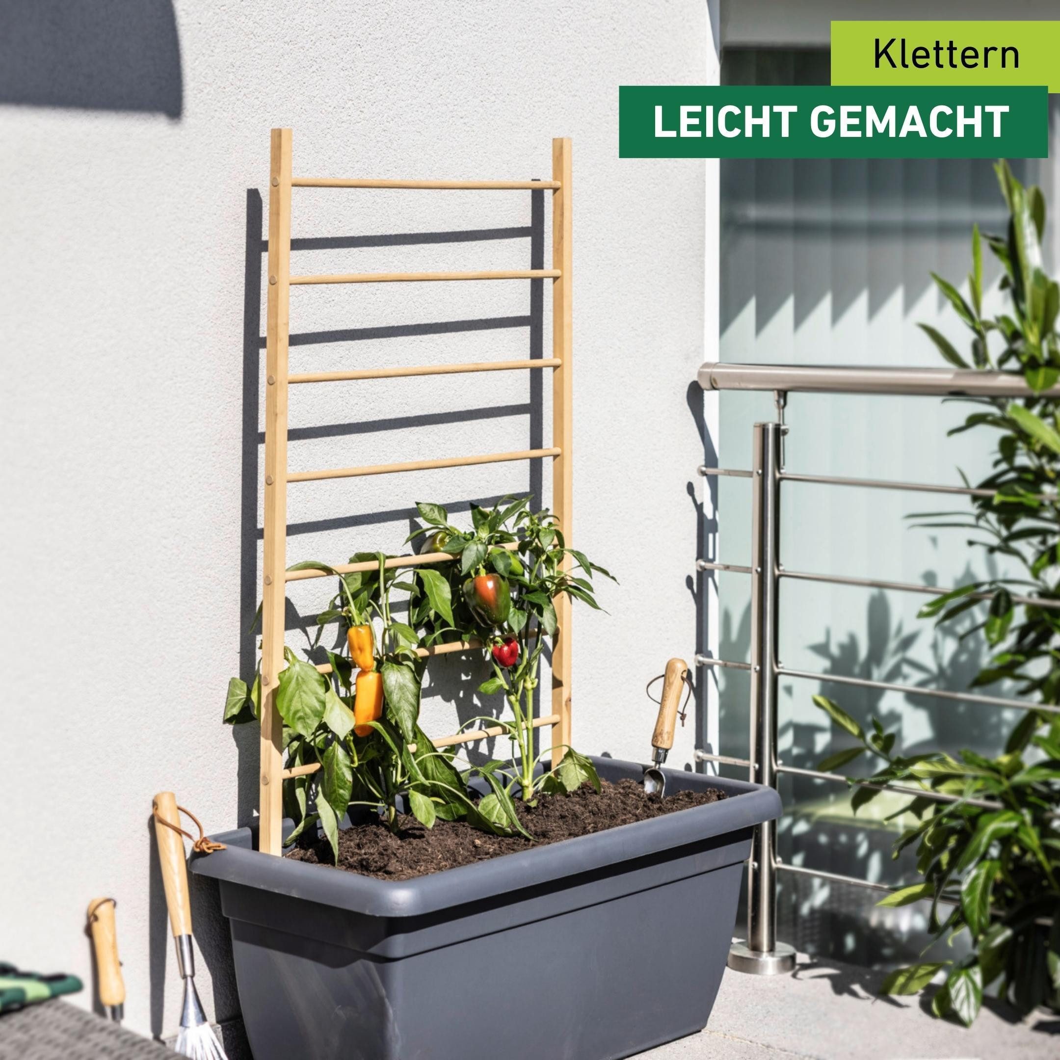Windhager Rankgitter für Blumen und Gemüsepflanzen in Garten- und Hochbeete, 1 St., Kletterhilfe 80 x 170 cm, Rankgerüst aus Holz