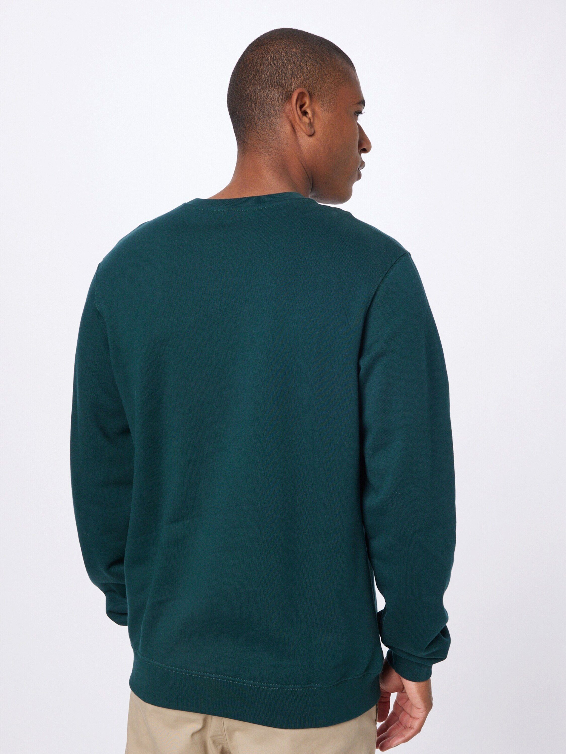 iriedaily Sweatshirt Mini Flag 2 (1-tlg)