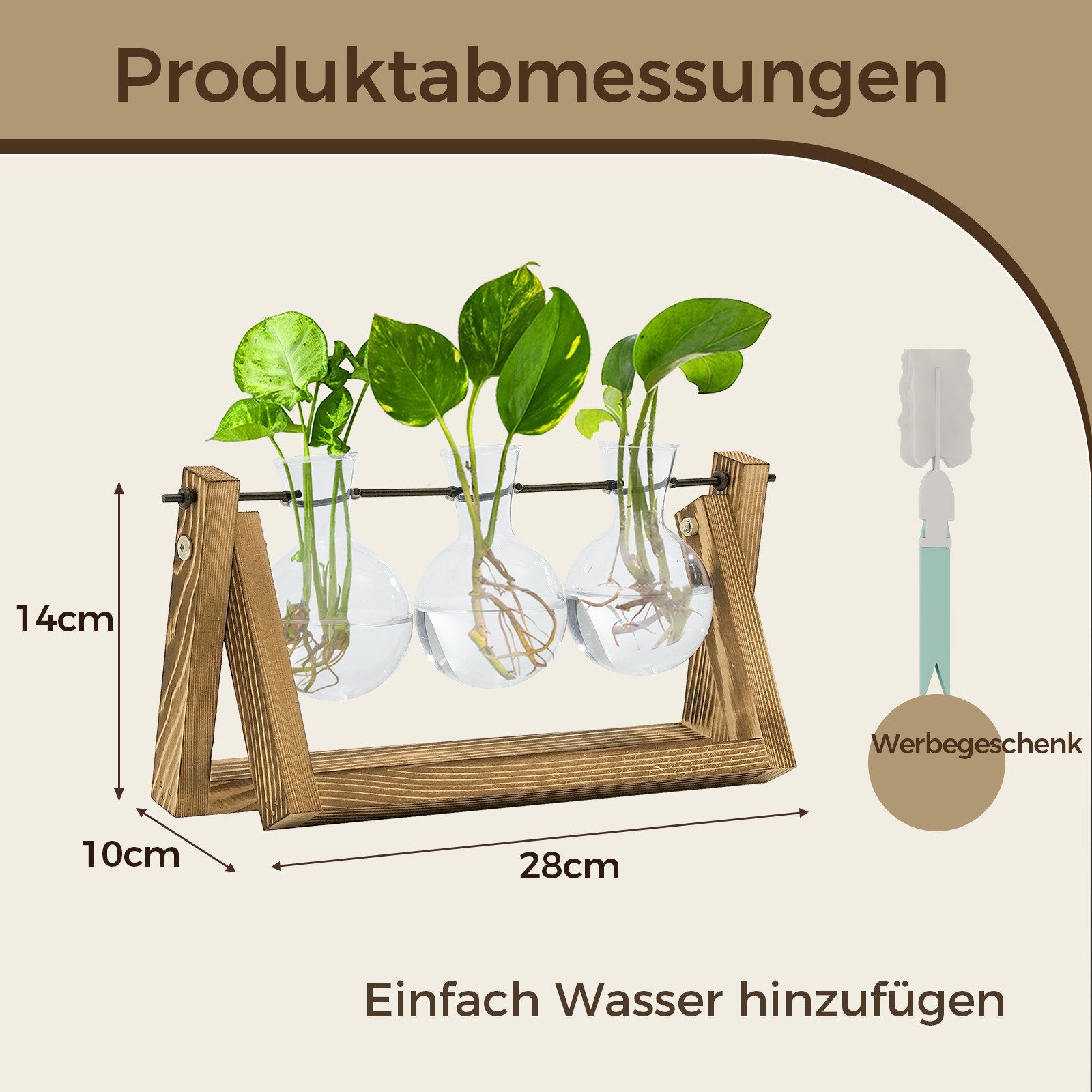 Bamworld Übertopf Hydrokultur Pflanzenvermehrungsstation mit Holzständer (1 St), 3 Glasvasen für Wasserpflanzen & stilvolle Wohnkultur-Deko