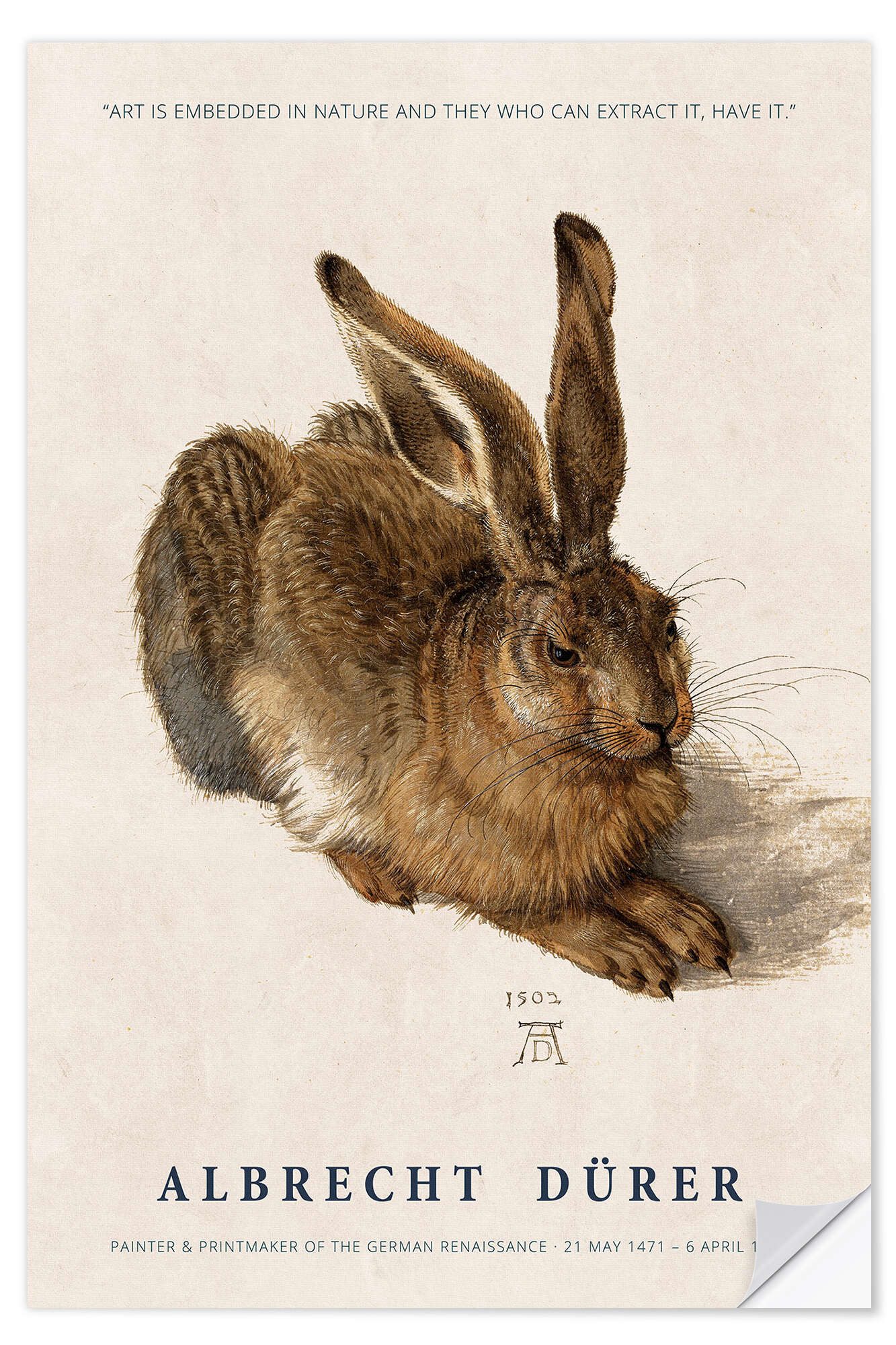 Wandfolie Albrecht Dürer