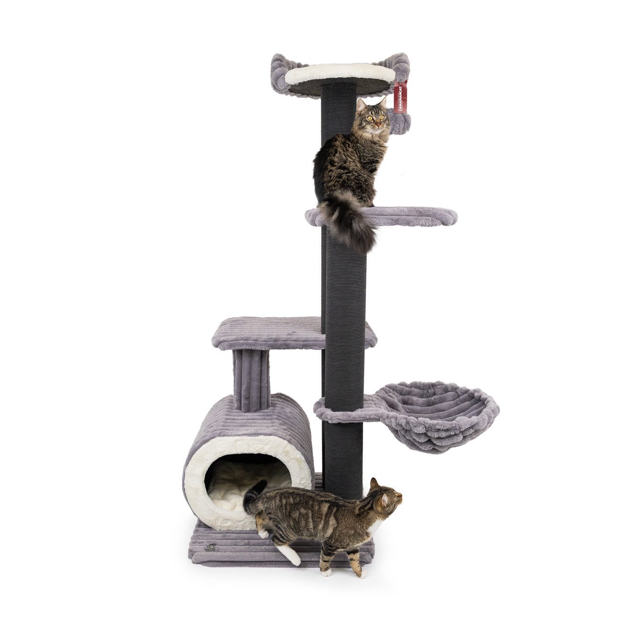 Canadian Cat Company Kratzbaum Barrie, Katzenmöbel, Kletterturm, grau, 68 x 68 x 188 cm
