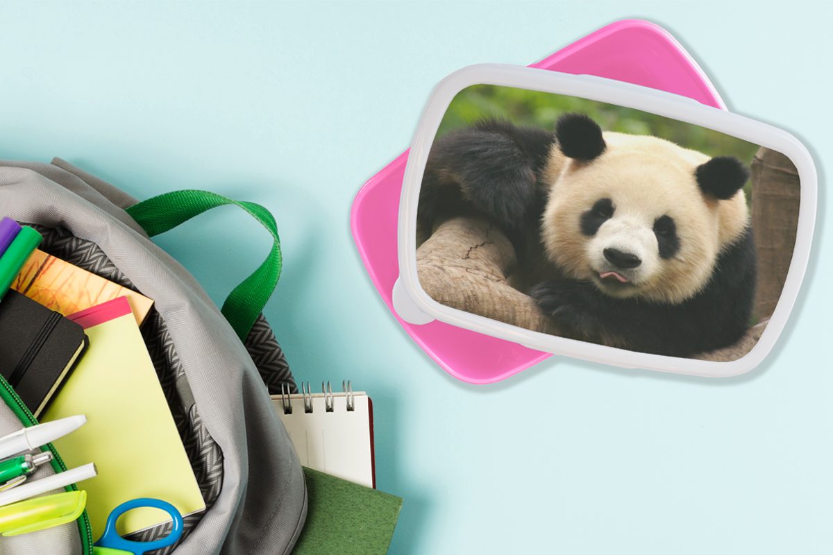 Bäume, - Kinder, Erwachsene, Snackbox, (2-tlg), Lunchbox Panda Brotdose - Kunststoff, rosa Brotbox MuchoWow Tiere für Mädchen, Kunststoff