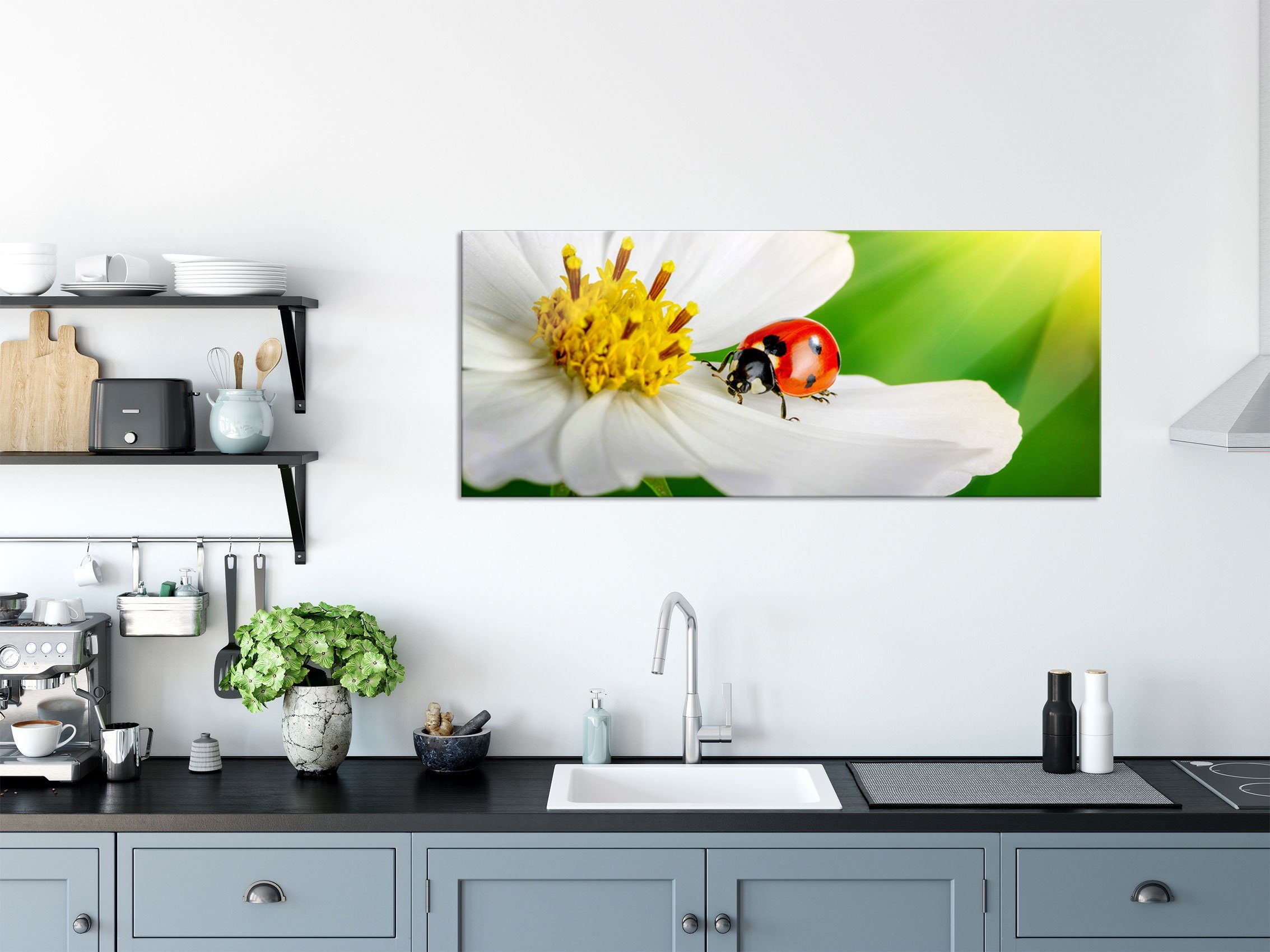 einer Glasbild (1 Marienkäfer auf Marienkäfer aus Glasbild inkl. auf Blume, Abstandshalter Echtglas, Blume Aufhängungen weißen St), weißen einer Pixxprint und