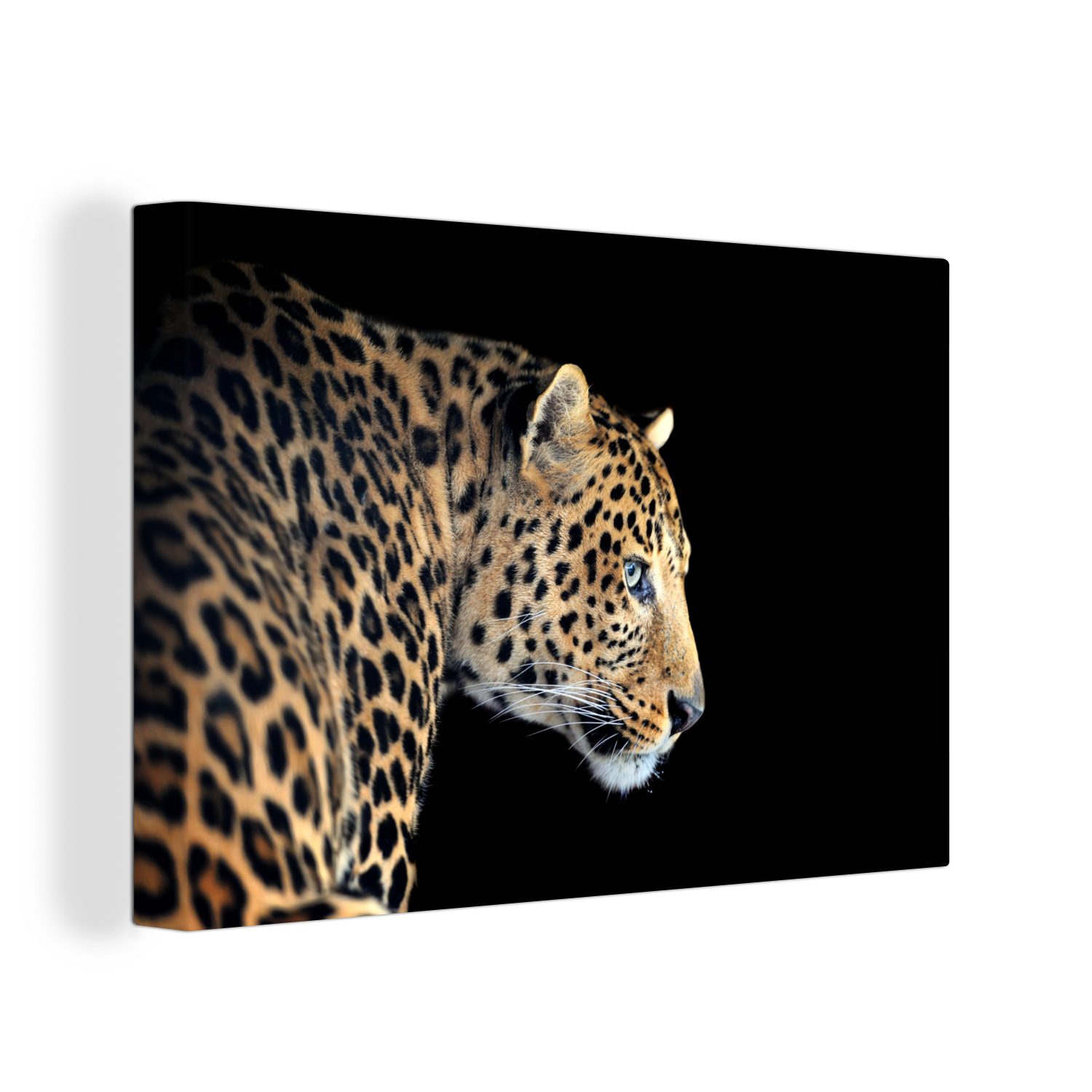 OneMillionCanvasses® Leinwandbild Leopard - Profil - Schwarz, (1 St), Wandbild Leinwandbilder, Aufhängefertig, Wanddeko, 30x20 cm | Leinwandbilder