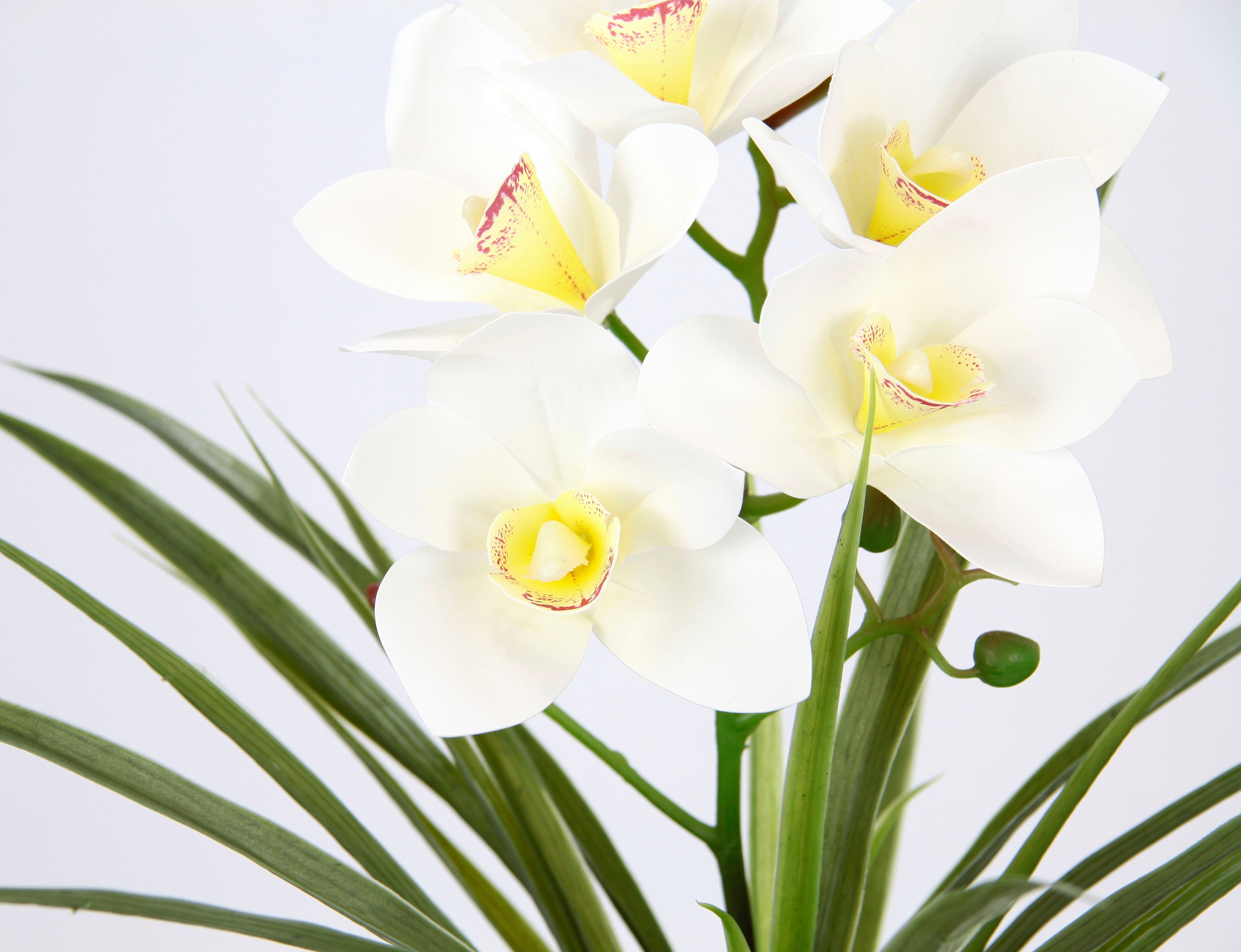Kunstblume Orchidee, Zement Mit Künstliche my 40 Cymbidium-Orchidee Blume im aus Blätter Topf Höhe home, Creme cm