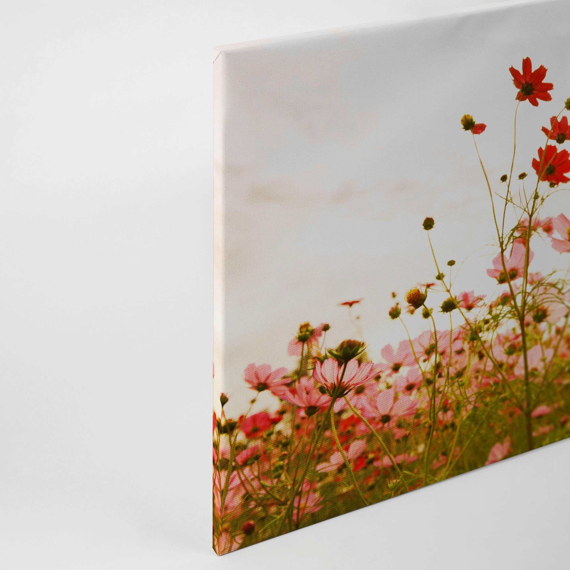 Meadow, Keilrahmen rot, A.S. Flower (1 St), Mohnblume Leinwandbild Création Blumenwiese grün, weiß Blumen