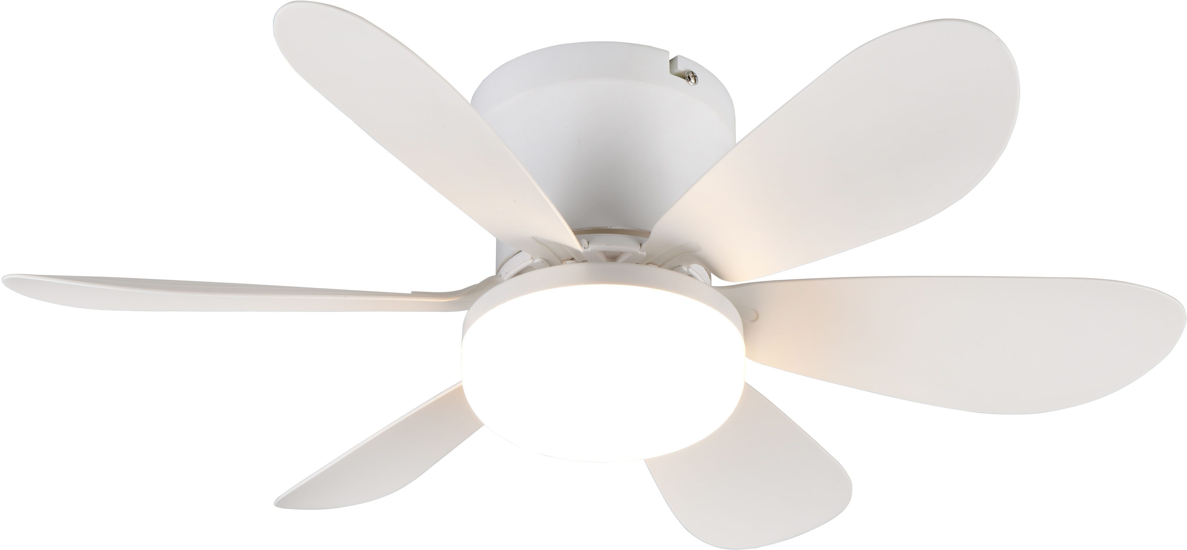 Reality Leuchten LED Deckenleuchte LUND mit Ventilator, Deckenventilator mi günstig online kaufen