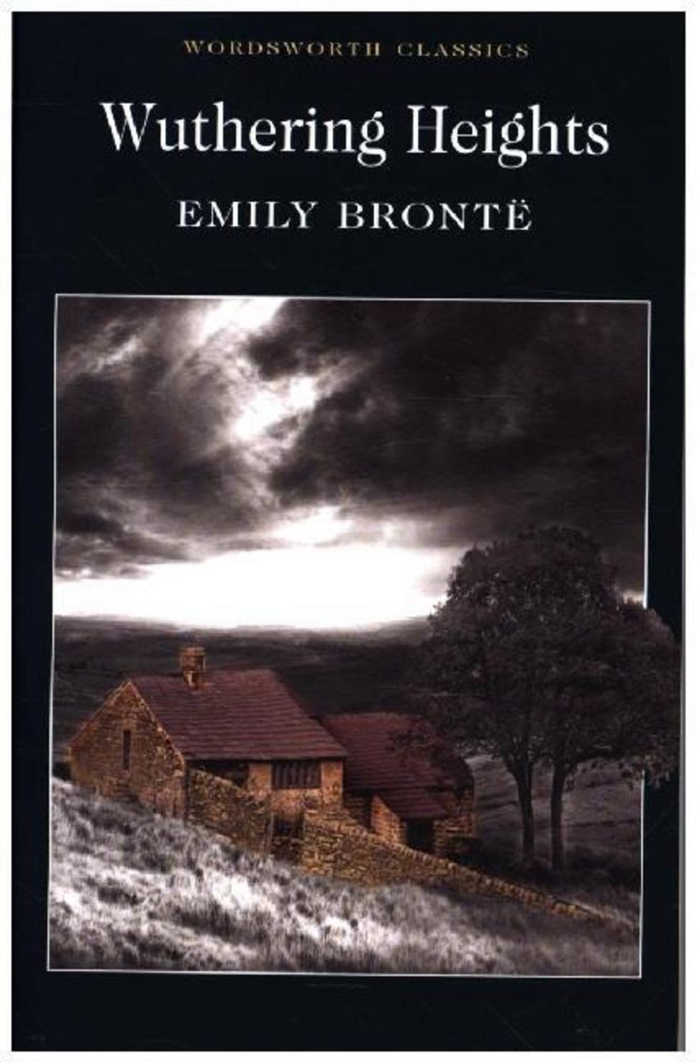 Wuthering Heights / Emily Bronte