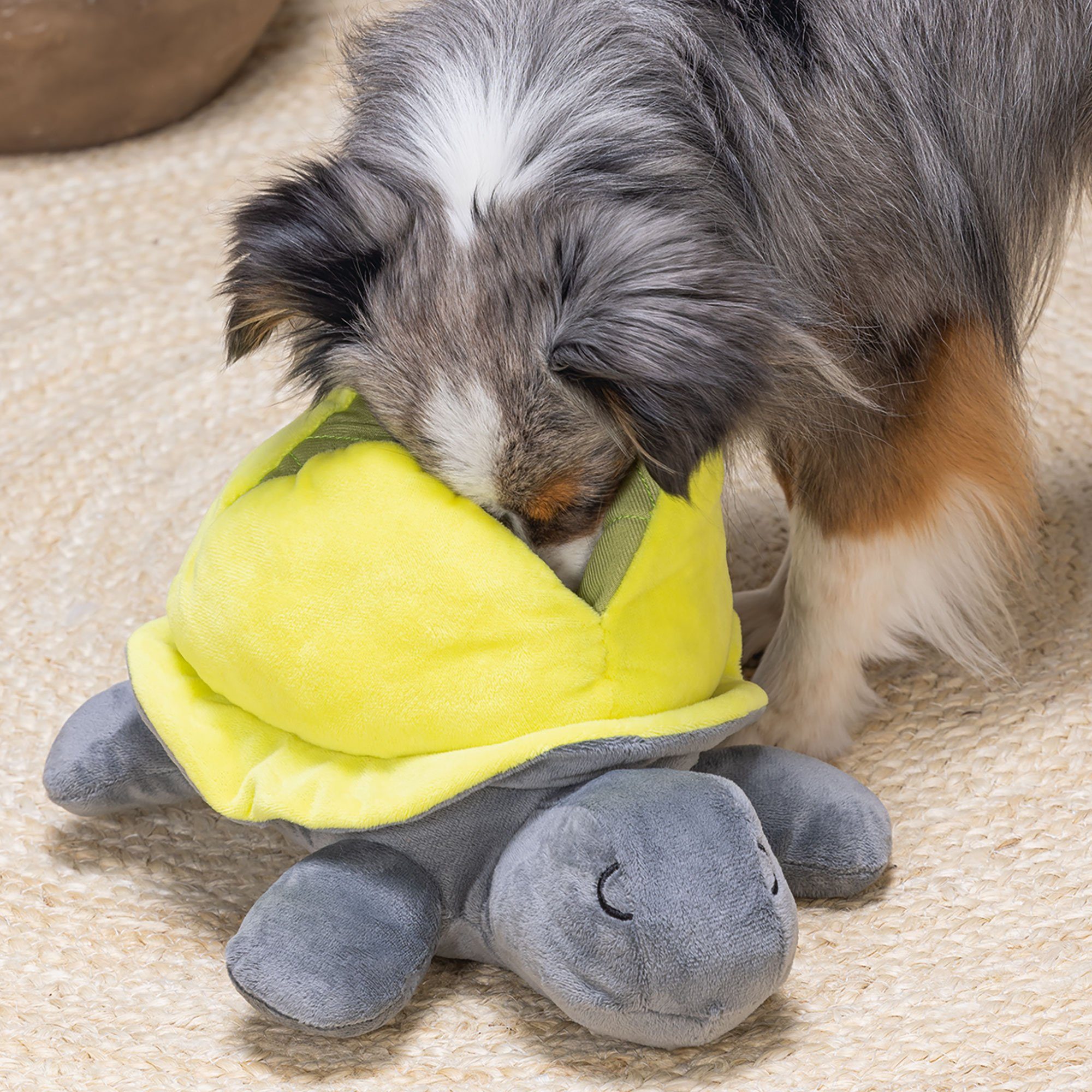 Beeztees Tier-Intelligenzspielzeug Beeztees Versteckspielzeuge - Schnüffelteppich, Plüsch, (1-tlg) zahlreiche, unterschiedliche Möglichkeiten