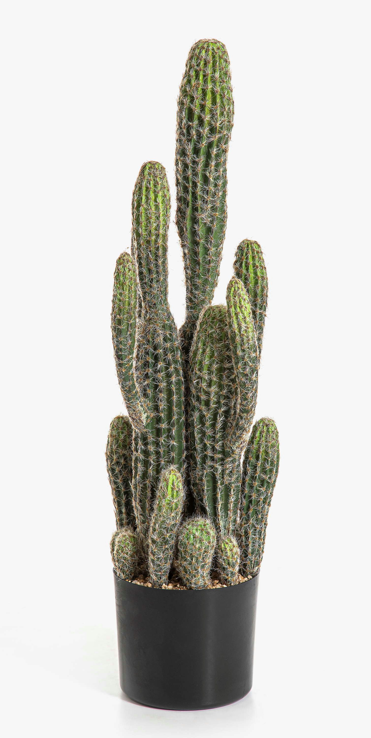 Kunstkaktus Kunst Kaktus San Pedro Farin, grün, 75cm San Pedro Kaktus, artplants, Höhe 75.0 cm