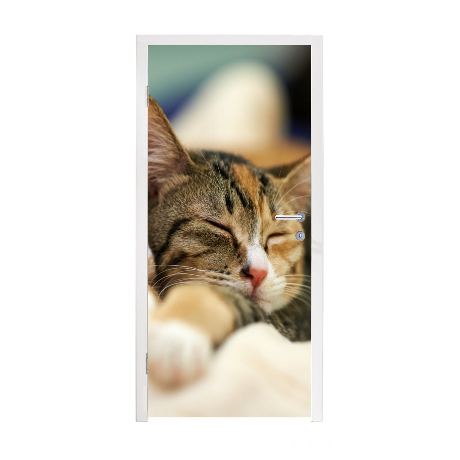 MuchoWow Türtapete Katzen - Schlafen - Vorleger, Matt, bedruckt, (1 St), Fototapete für Tür, Türaufkleber, 75x205 cm