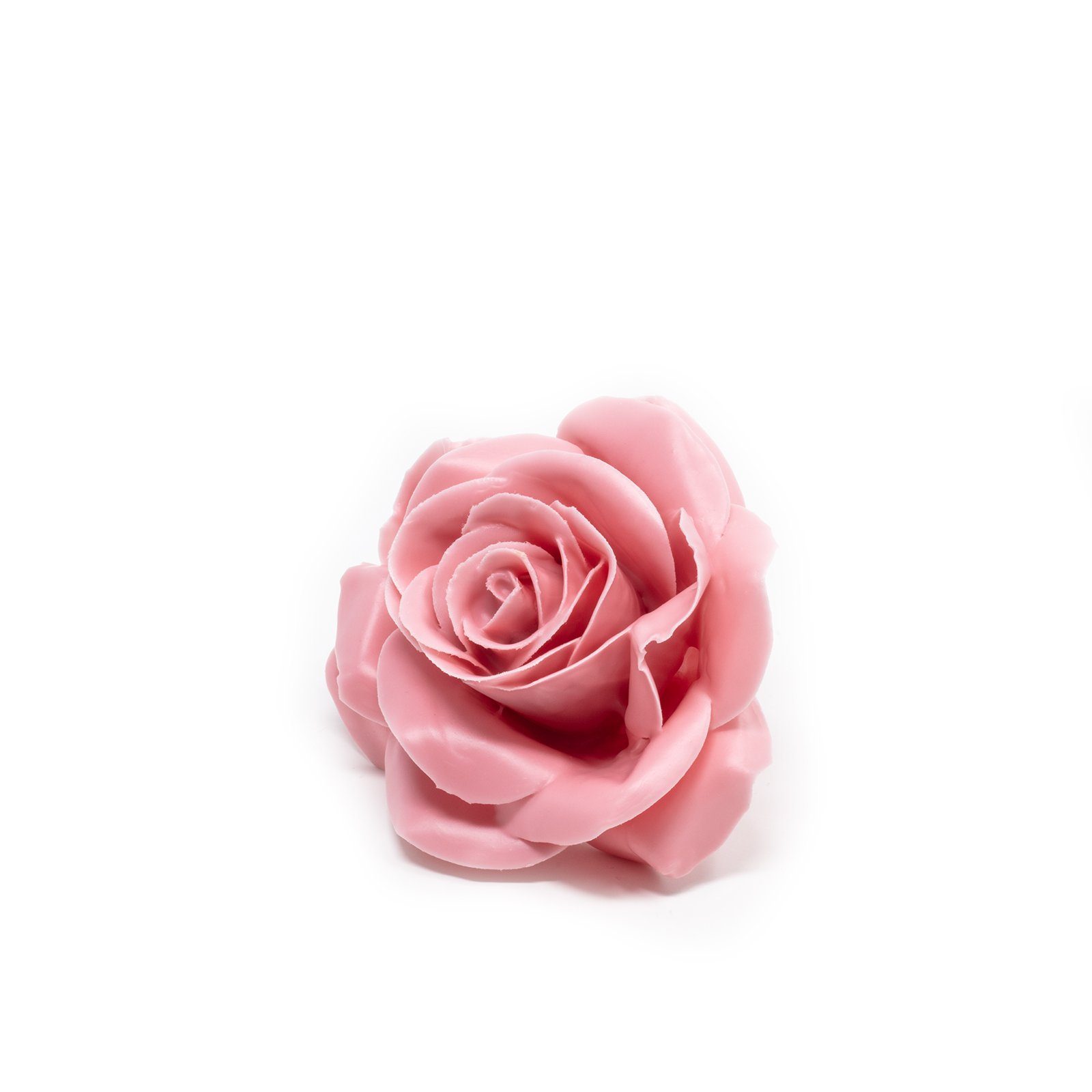 Trockenblume 12er Set Wachsrose - Pink Soft, Primera, Höhe 25 cm