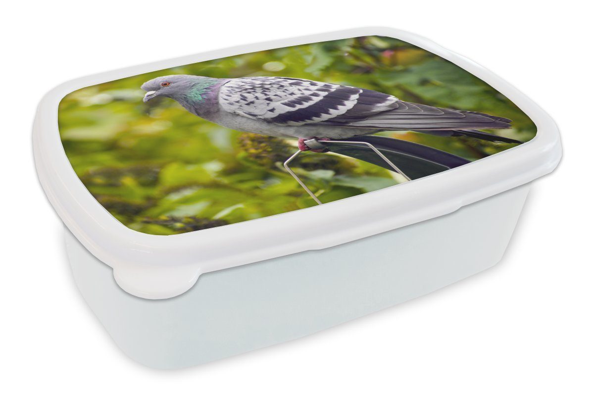 MuchoWow Lunchbox Eine bunte Wildtaube zwischen den grünen Blättern, Kunststoff, (2-tlg), Brotbox für Kinder und Erwachsene, Brotdose, für Jungs und Mädchen weiß