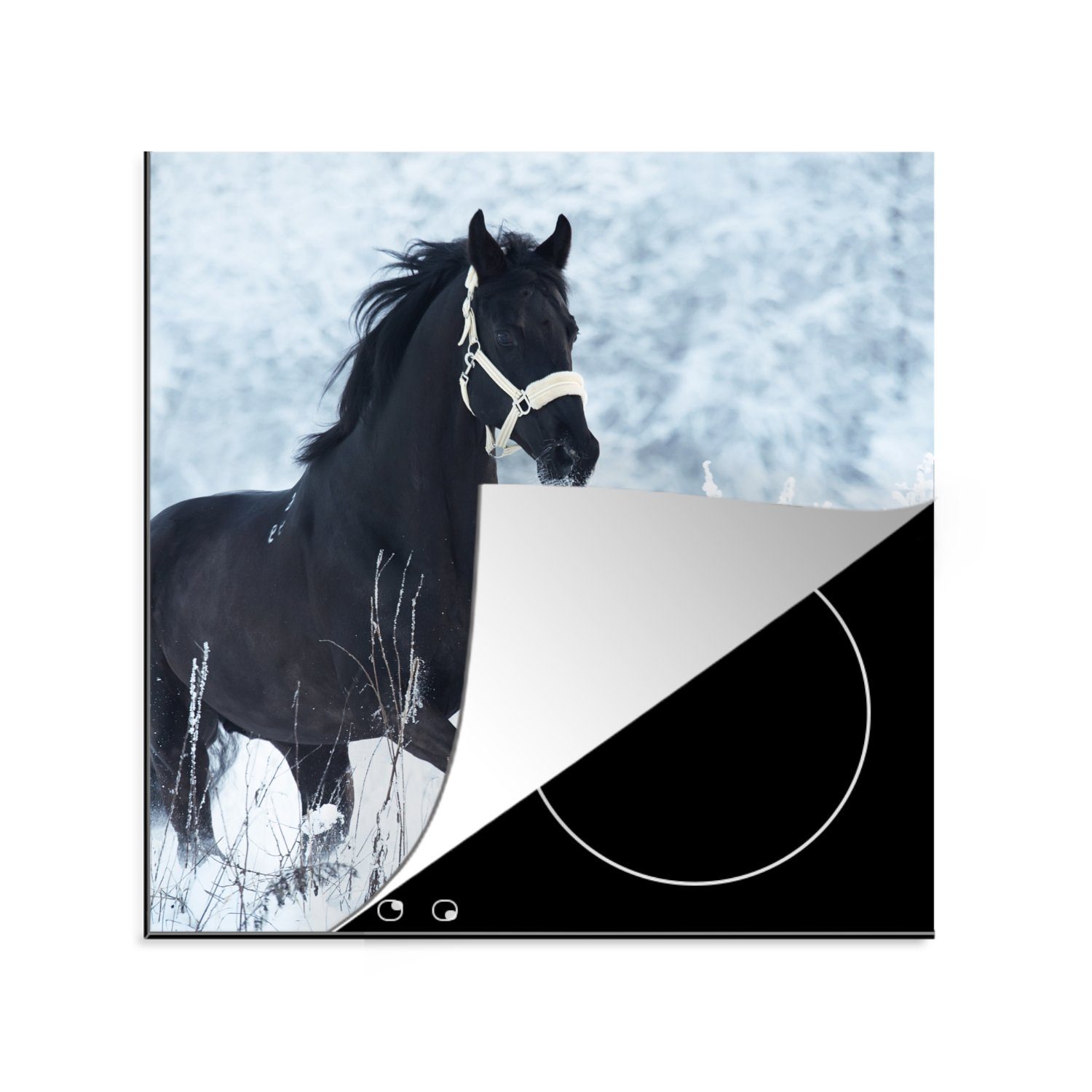 MuchoWow Herdblende-/Abdeckplatte Pferd - Schnee - Winter, Vinyl, (1 tlg), 78x78 cm, Ceranfeldabdeckung, Arbeitsplatte für küche