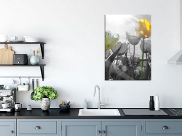 Pixxprint Glasbild wunderschöne Tulpenwiese schwarz/weiß, wunderschöne Tulpenwiese schwarz/weiß (1 St), Glasbild aus Echtglas, inkl. Aufhängungen und Abstandshalter