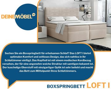 Deine Möbel 24 Boxspringbett Polsterbett Komplettbett Hotelbett LOFT I (Ehebett Bett inkl. Matratzen H3 oder H4 zur Auswahl Cord-Samt Kopfteil, Ehebett Bett inkl. Matratzen H3 oder H4 zur Auswahl), 120x200 140x200 160x200 180x200 200x200 inkl. Bettkasten und Topper