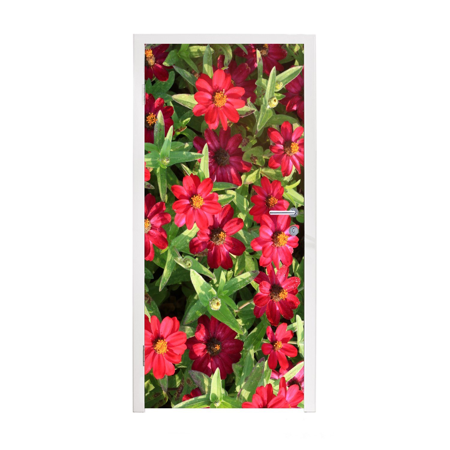MuchoWow Türtapete Rote Zinnienblüten an einem sonnigen Tag, Matt, bedruckt, (1 St), Fototapete für Tür, Türaufkleber, 75x205 cm