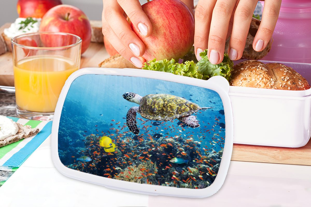 weiß Kunststoff, und und Korallenriff, (2-tlg), Schildkröte Kinder am Jungs Lunchbox für Brotdose, Erwachsene, MuchoWow für Mädchen Brotbox