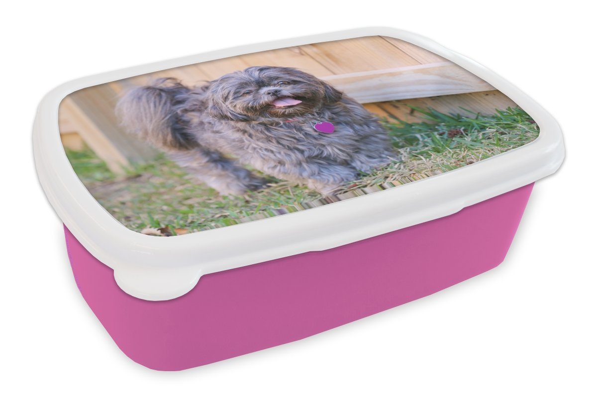 MuchoWow Lunchbox Ein schwarzer Shih Tzubi Hund am Zaun, Kunststoff, (2-tlg), Brotbox für Erwachsene, Brotdose Kinder, Snackbox, Mädchen, Kunststoff rosa