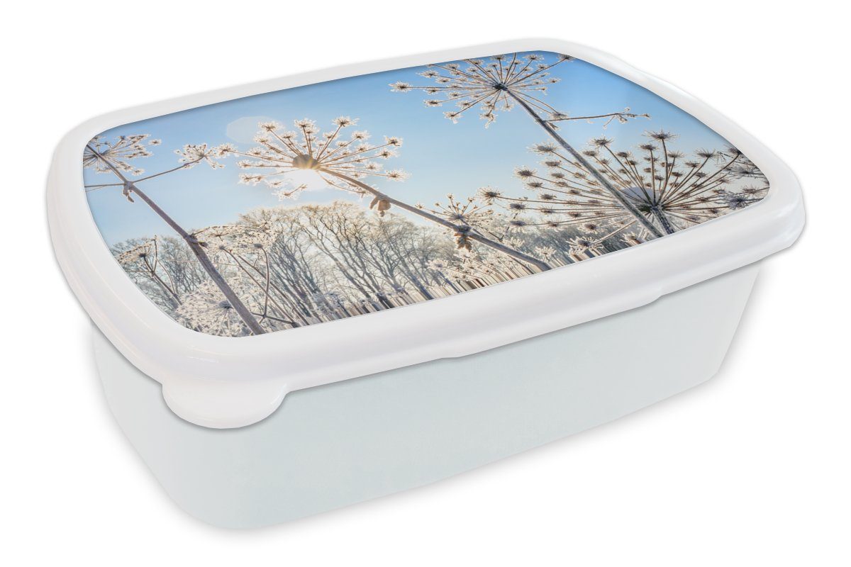 MuchoWow Lunchbox Pflanzen - Schnee - Stilleben, Kunststoff, (2-tlg), Brotbox für Kinder und Erwachsene, Brotdose, für Jungs und Mädchen weiß