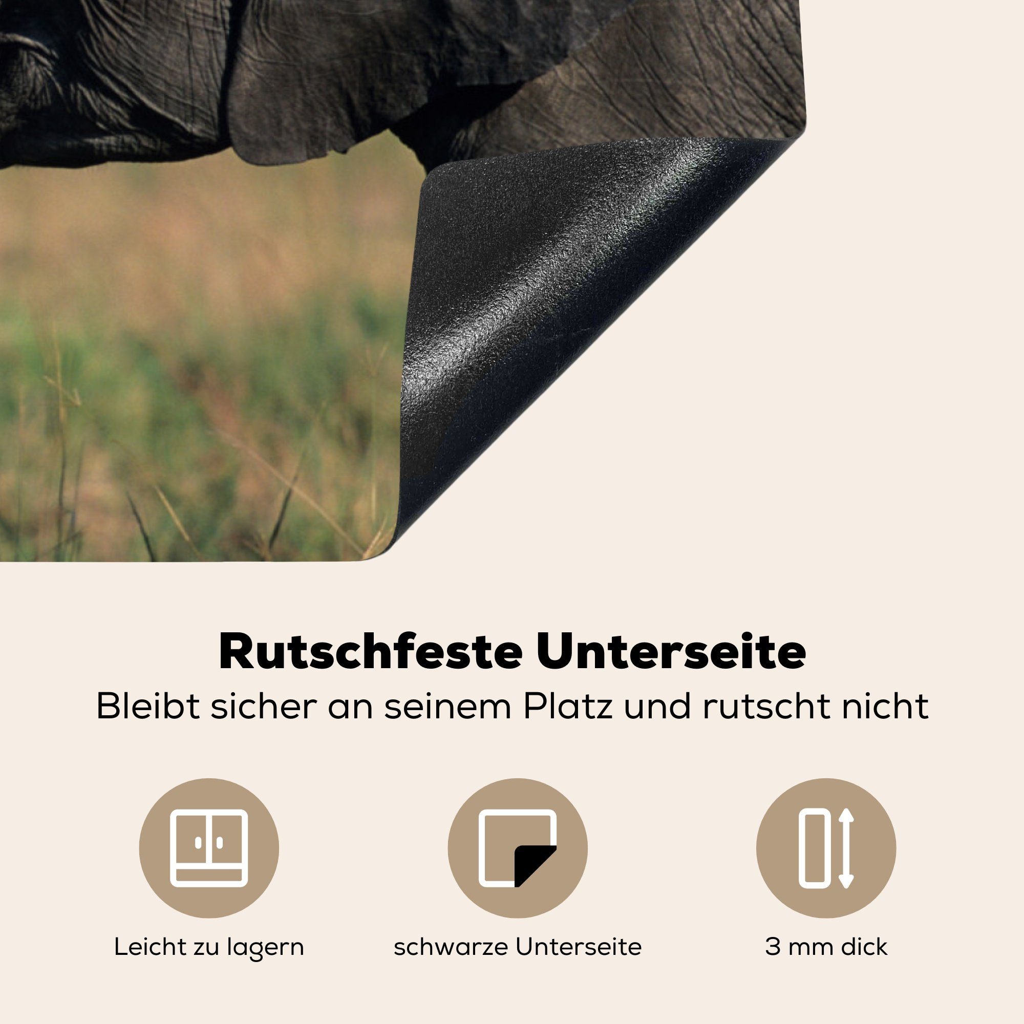 für 81x52 (1 MuchoWow Elefant Natur, Grau Vinyl, - tlg), Schutz küche, Induktionskochfeld Ceranfeldabdeckung Herdblende-/Abdeckplatte cm, Tiere die - -