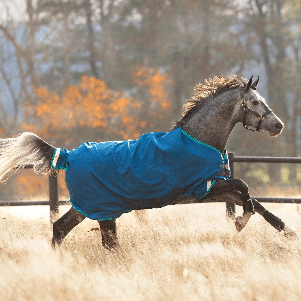 Pferde-Regendecke Horseware Rhino Original Turnout Lite 0g