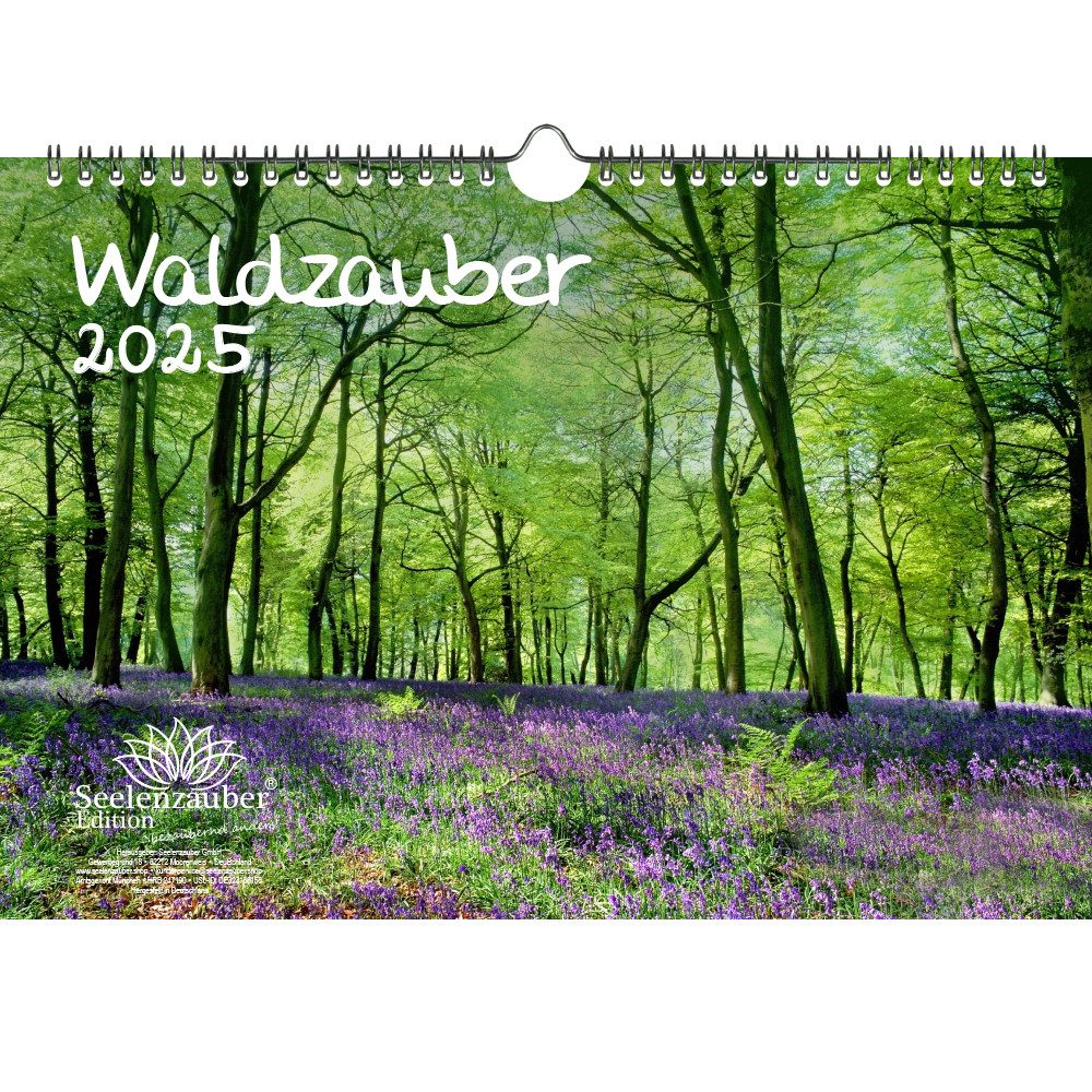 Seelenzauber Wandkalender Waldzauber DIN A4 Kalender für 2025 Baum Bäume Wald Natur