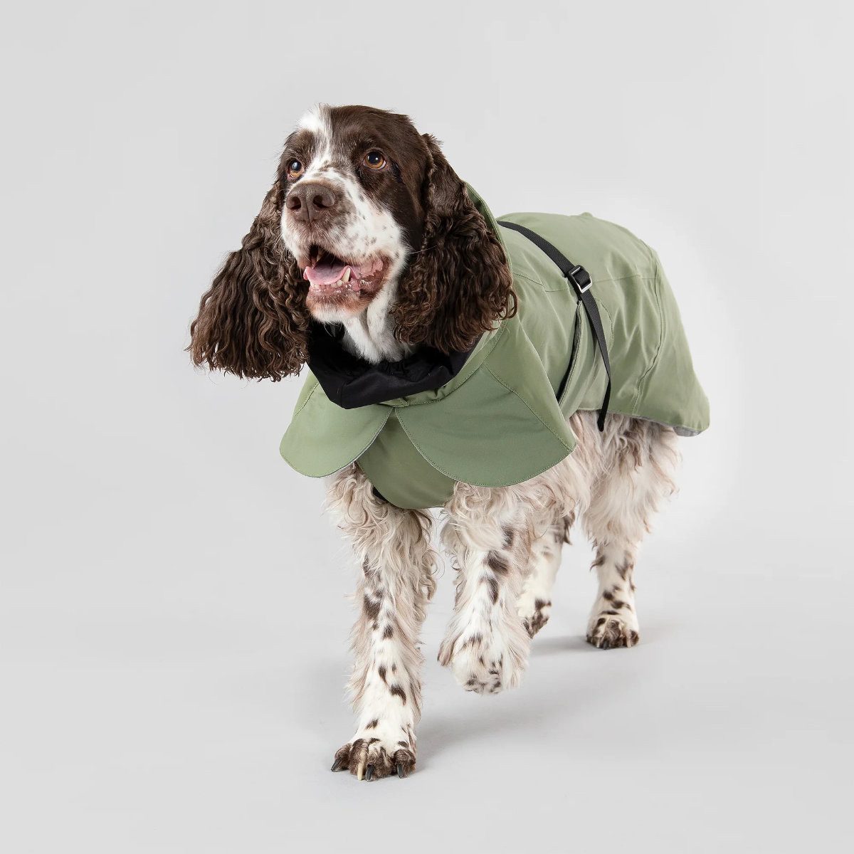 PAIKKA Hundemantel Hunde Winter-Jacke reflektierend "Visibility" grün
