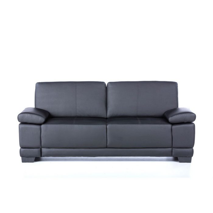 HomeGuru Sofa Sofa 2-Sitzer mit verstellbaren Armlehnen