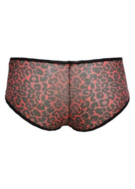 Gossard Hipster Glossies Leopard Short Black/Red (Short, 1-St., glatt)