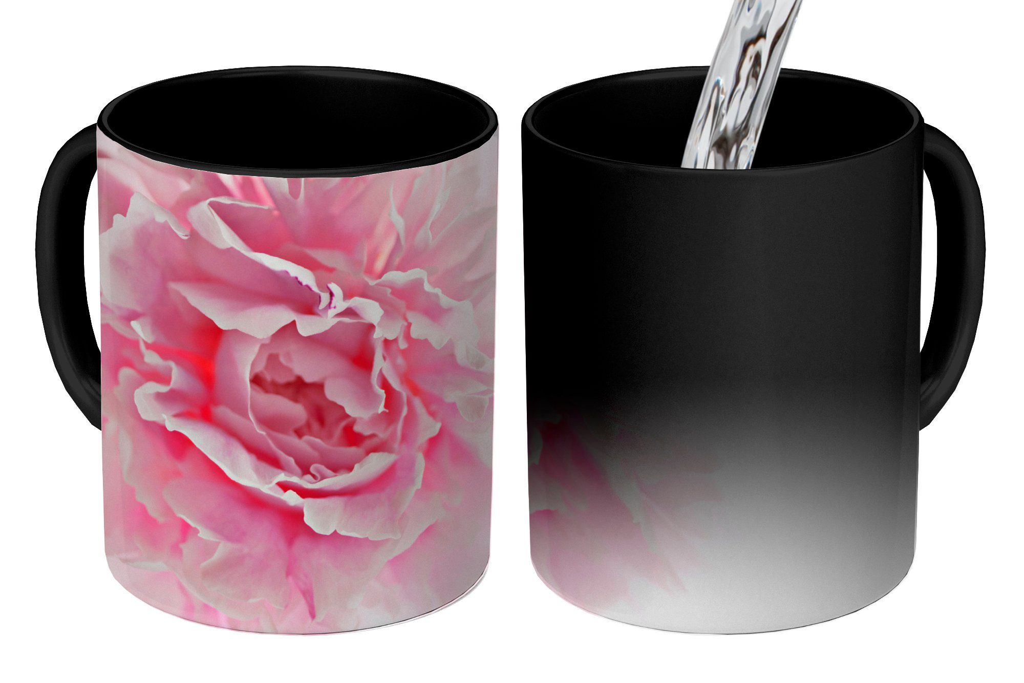 rosa Teetasse, Tasse eine Hintergrund, Draufsicht mit MuchoWow Kaffeetassen, weißem Pfingstrose Zaubertasse, Farbwechsel, Keramik, Geschenk auf